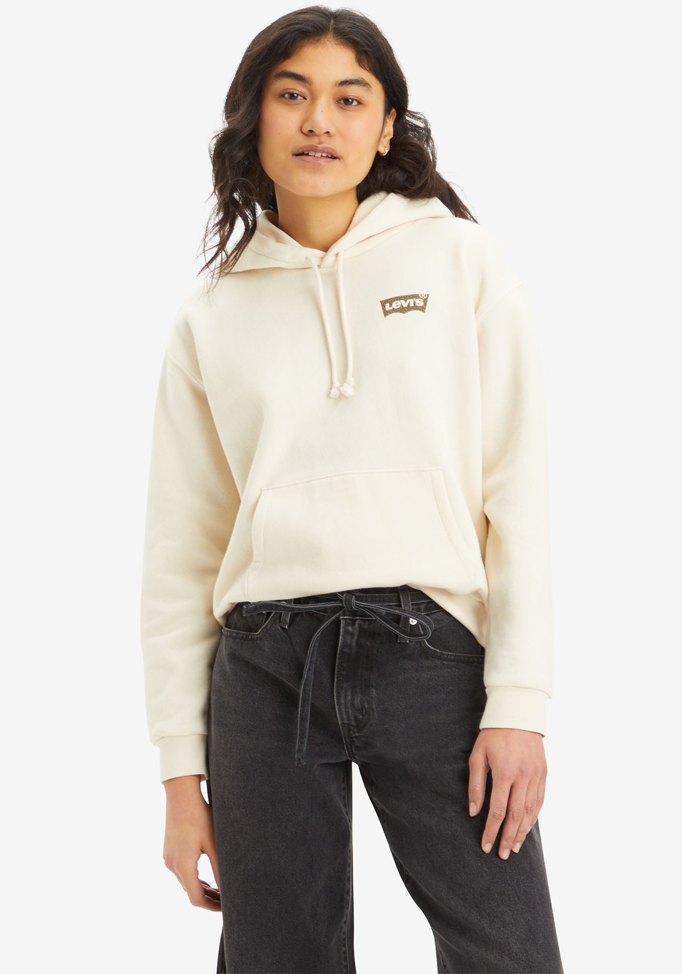 Levis Hoodie "GRAPHIC EVERYDAY HOODIE", mit Kapuze