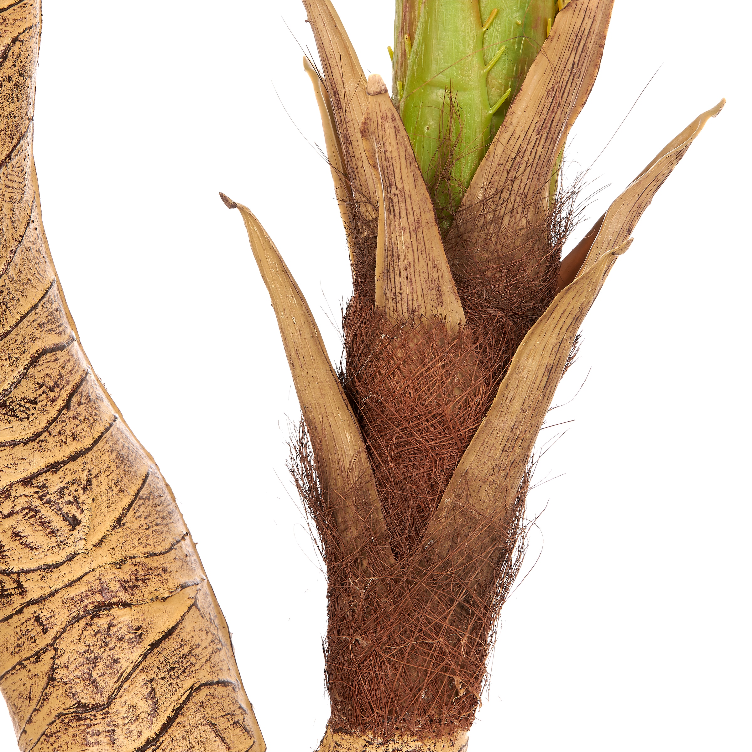 Creativ green Kunstpalme »Arecapalme« mit naturgetreuen Palmwedeln