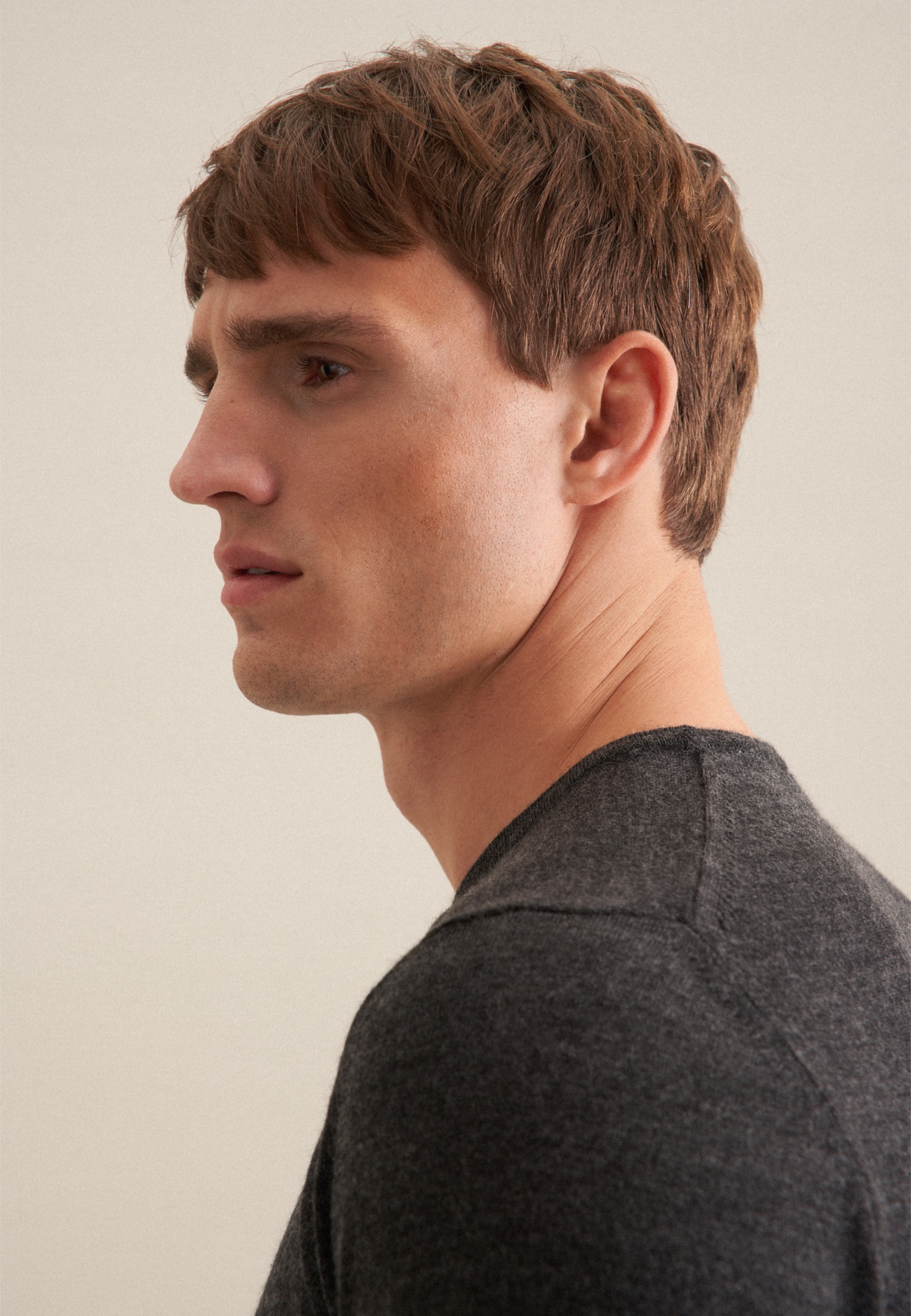 seidensticker Pullunder Rundhals Uni