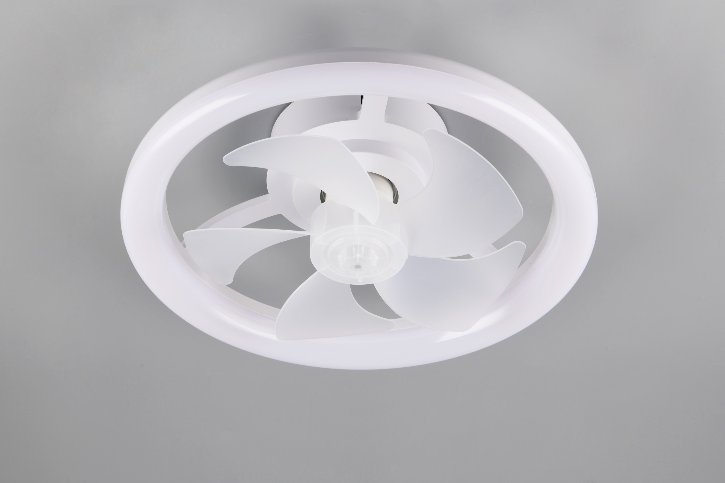 REALITY Leuchten LED Deckenleuchte »PAJALA mit Ventilator, Deckenventilator mit Licht, 22W LED CCT Ø 40cm« LED-Board 1 Stk. Farbwechsler | warmweiß - kaltweiß Fernbedienung 3 Geschwindigkeiten Timer Vor- & Rücklauf dimmbar
