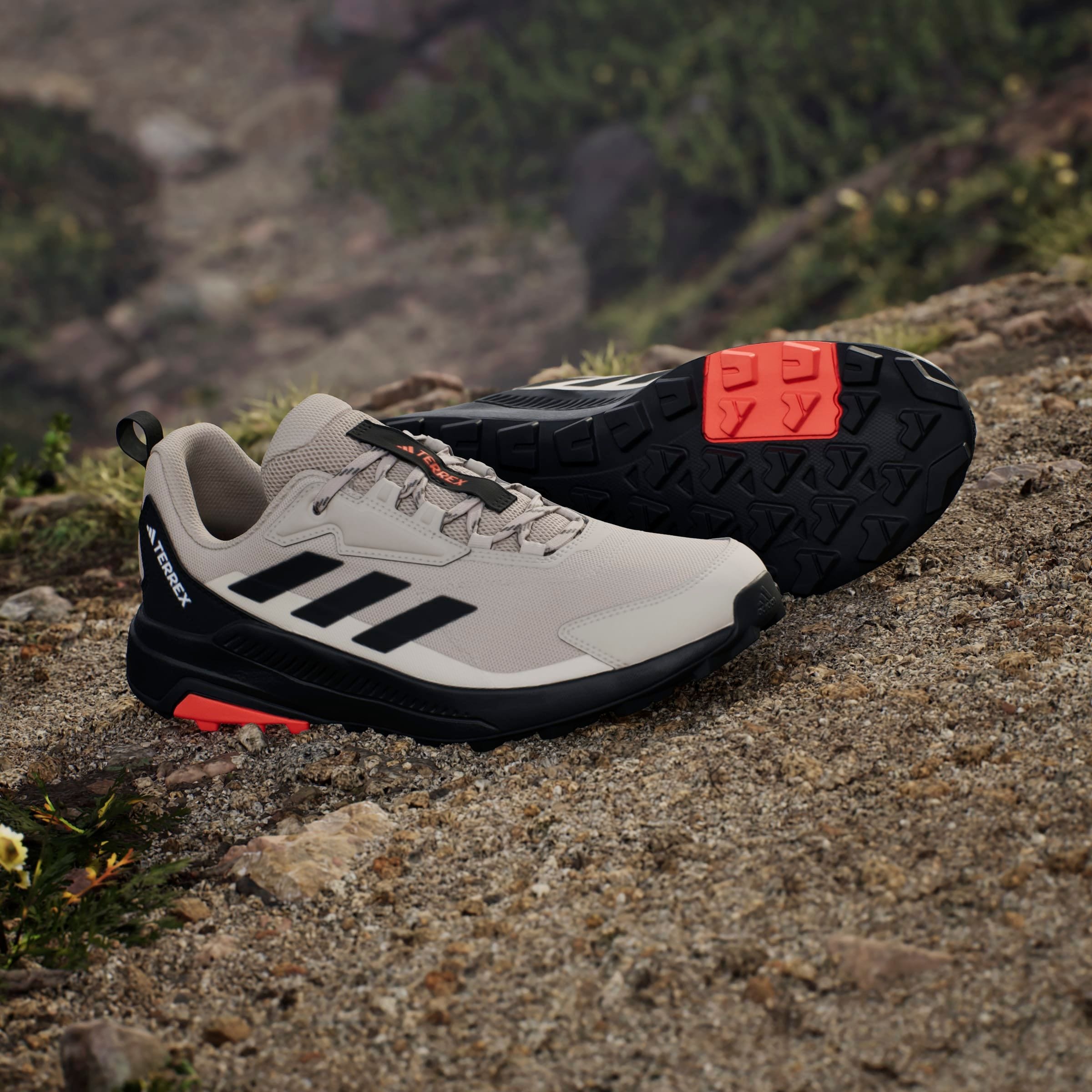 adidas TERREX Wanderschuh »TERREX ANYLANDER«