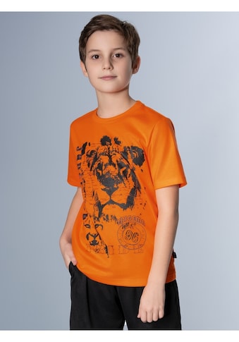 T-Shirt »TRIGEMA T-Shirt mit großem Löwen-Print«, (1 tlg.)