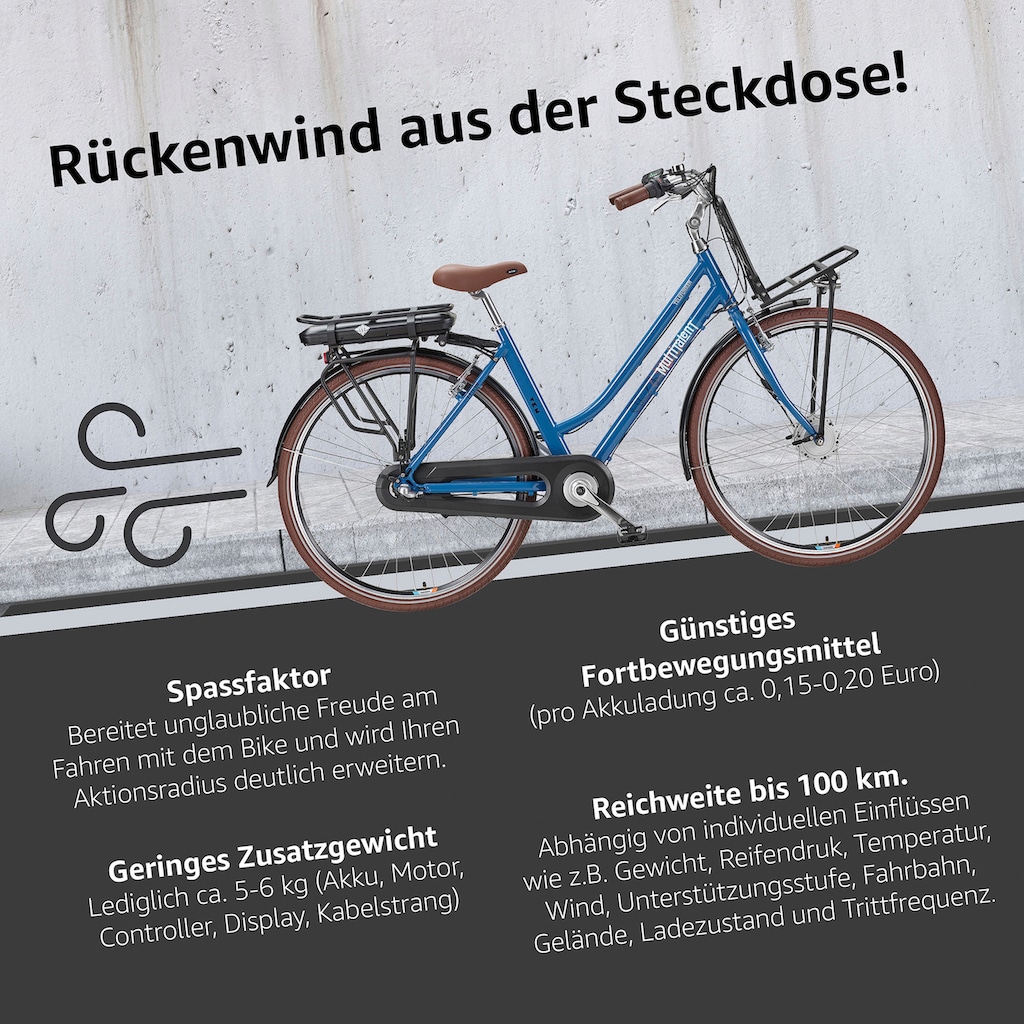 Telefunken E-Bike »Multitalent RT530«, 3 Gang, Shimano, Nexus, Frontmotor 250 W