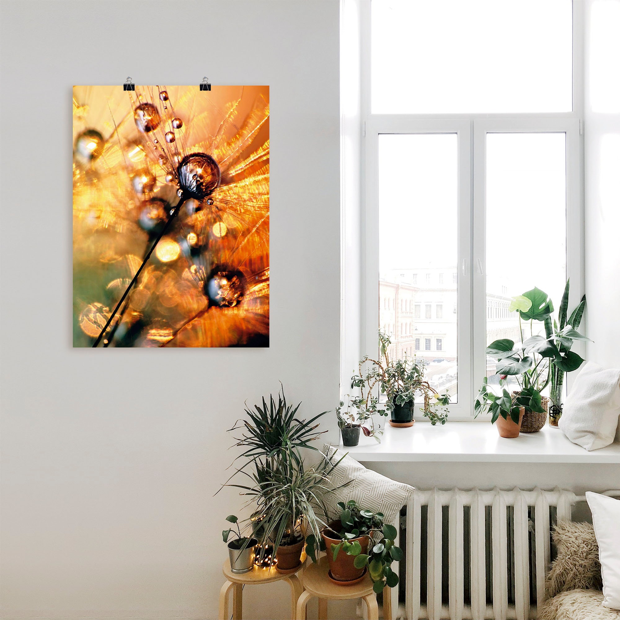 Artland Wandbild »Pusteblume Energy«, Blumen, (1 St.), als Leinwandbild, Poster in verschied. Größen