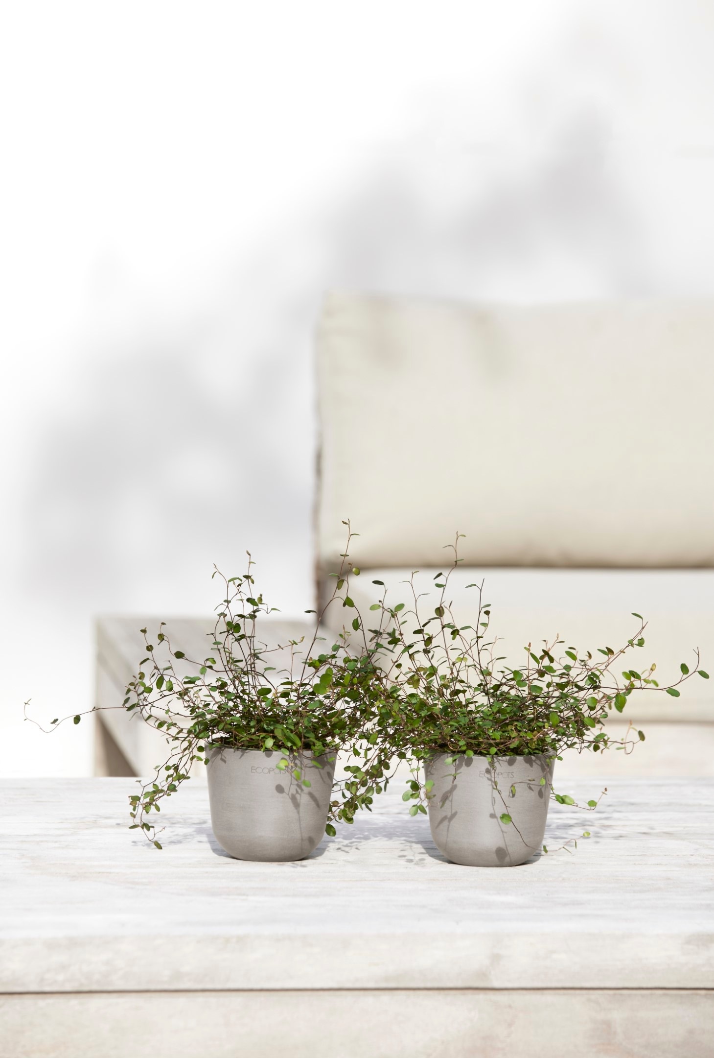 ECOPOTS Blumentopf »Oslo Mini 11,5 Taupe« für den Innenbereich