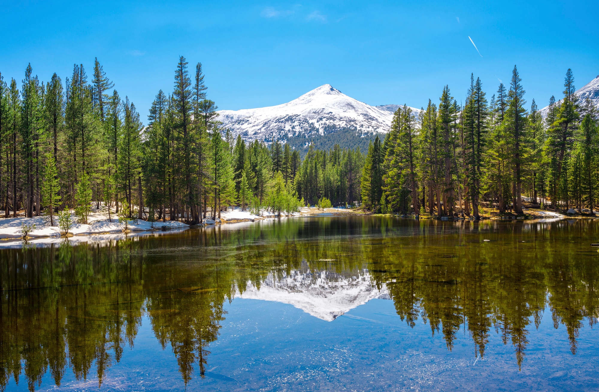 Papermoon Fototapete "YOSEMITE-SEE GEBIRGE BERGE ALPEN SONNE WALD BÄUME"