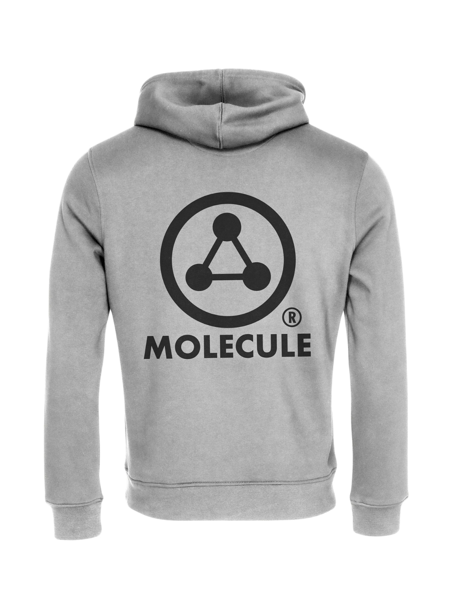 Molecule Troyer "Molecule Hoodie Heavy" günstig online kaufen