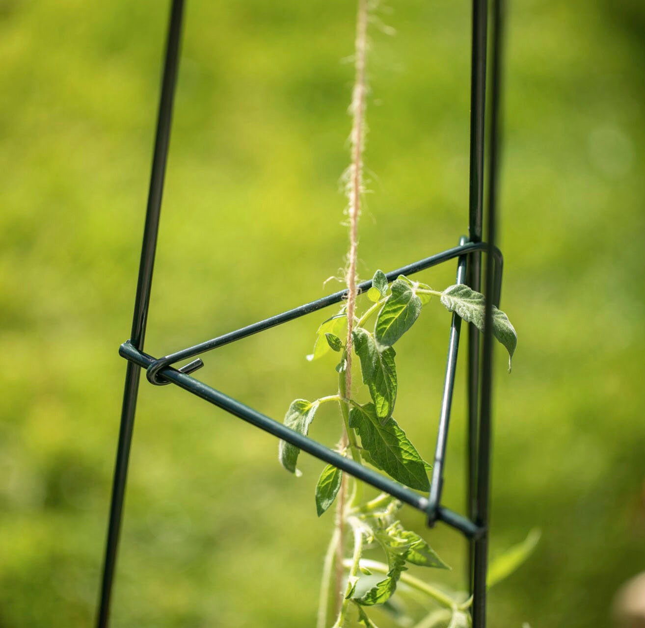 Windhager Ranksäule Rankturm-Pyramide, faltbar, H: 180 cm