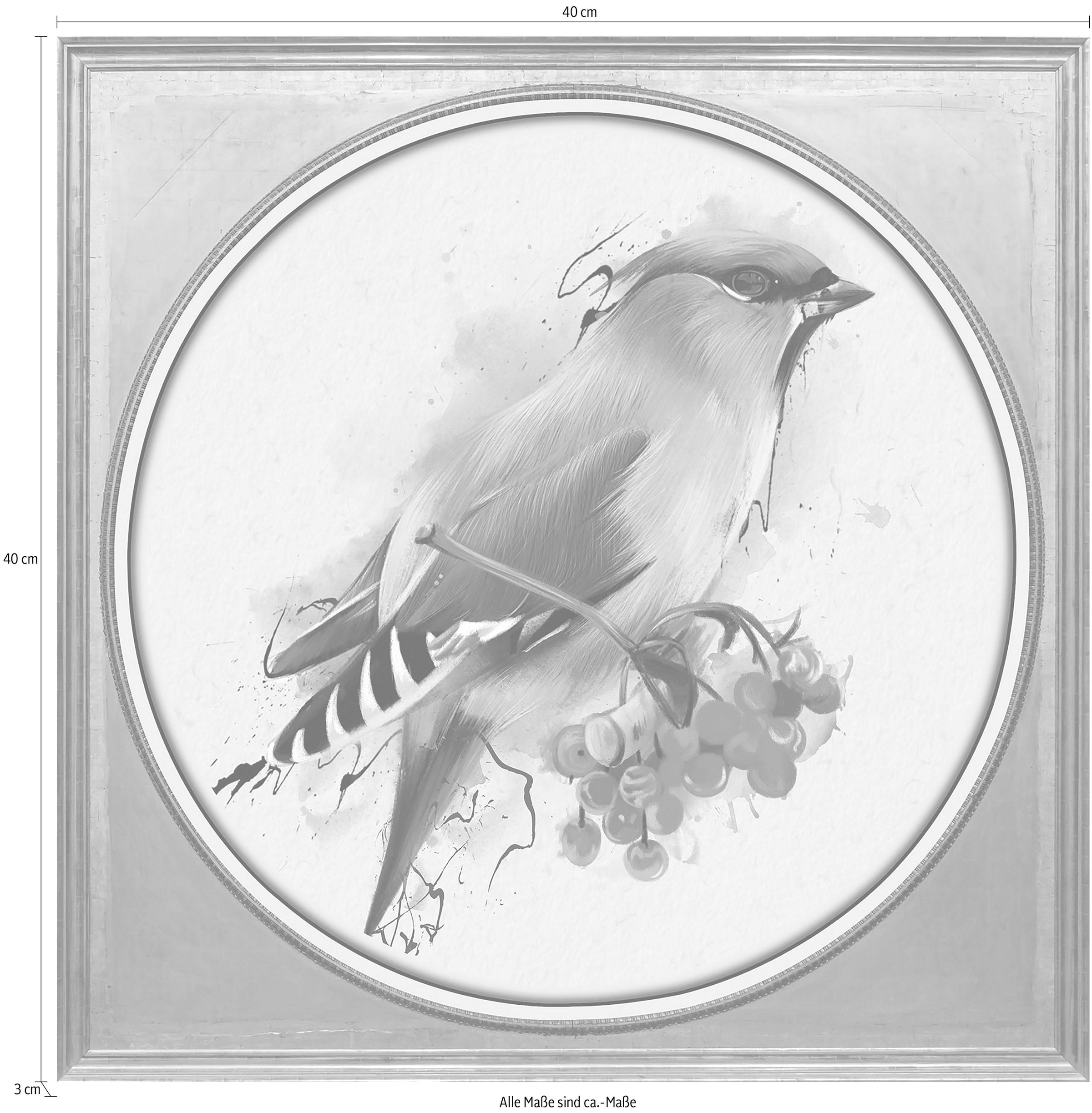 queence Acrylglasbild »Bunter Vogel II«, Kunst-Vögel-Vogelbilder-Tiere-Gemälde, Fine Art-Print in Galeriequalität