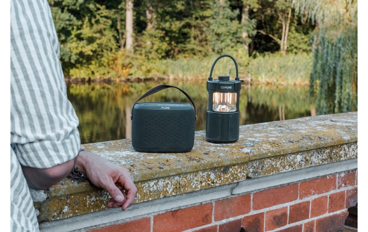 Pure Radio »Woodland Glow« (Bluetooth )