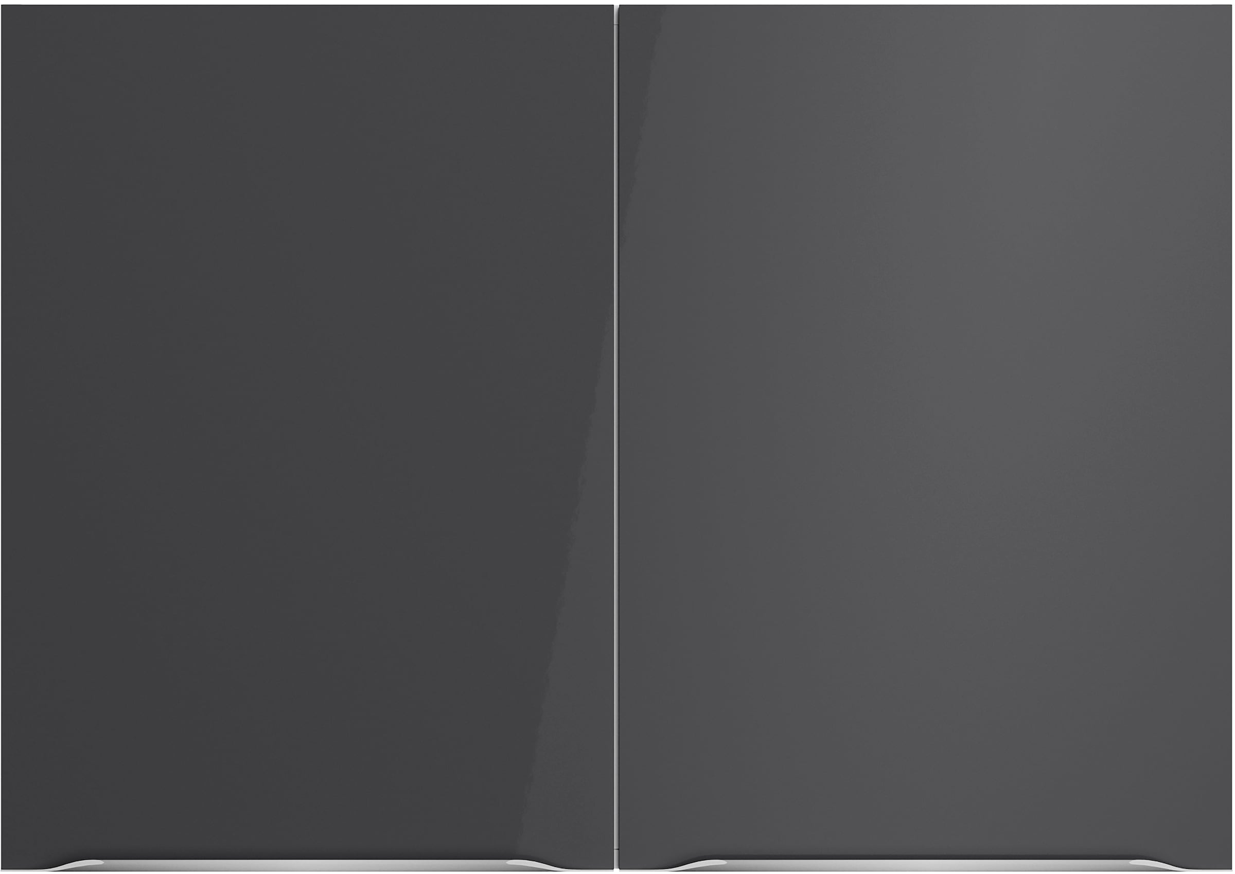 Black Friday OPTIFIT Hängeschrank »Lilly2«, Breite 100 cm, 2 Türen, 4  Einlegeböden | BAUR
