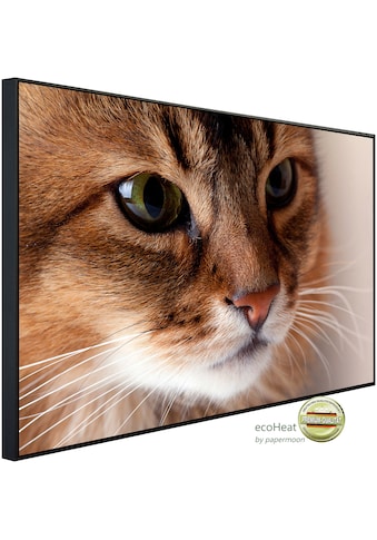 Papermoon Infrarotheizung »Katze«, sehr angenehme Strahlungswärme kaufen