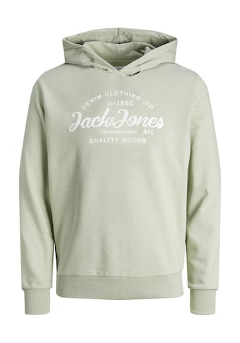 Hoodie »JJFOREST SWEAT HOOD JNR«