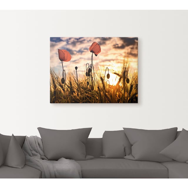 Artland Wandbild »Mohnblumen im Sonnenuntergang«, Blumen, (1 St.), als  Alubild, Leinwandbild, Wandaufkleber oder Poster in versch. Größen kaufen |  BAUR