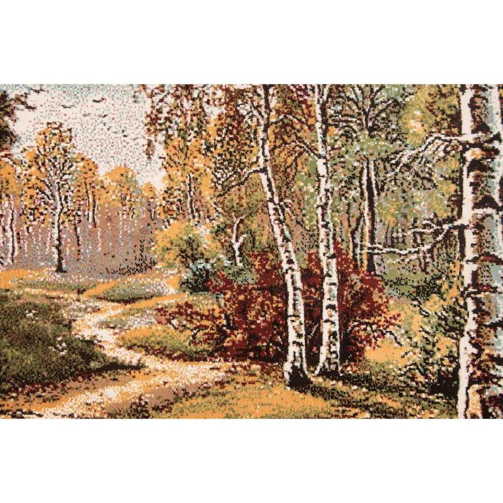 morgenland Wandteppich »Bild-Teppich Figurativ 110 x 82 cm«, rechteckig, besonders weich durch Microfaser