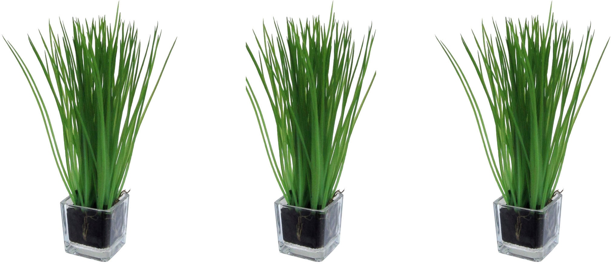 Creativ green Kunstgras »Gras im Glas«, (3 St.) kaufen