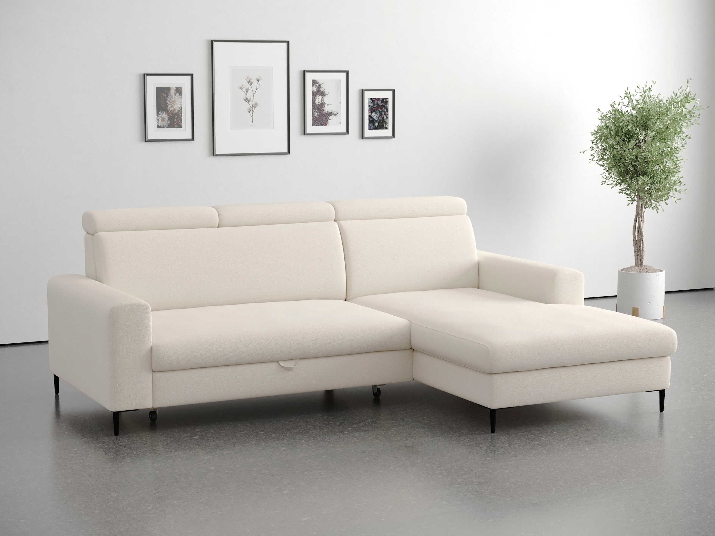Trends by HG Ecksofa "Nizza, L-Form, B: 250cm" mit Schlaffunktion und Bettkasten