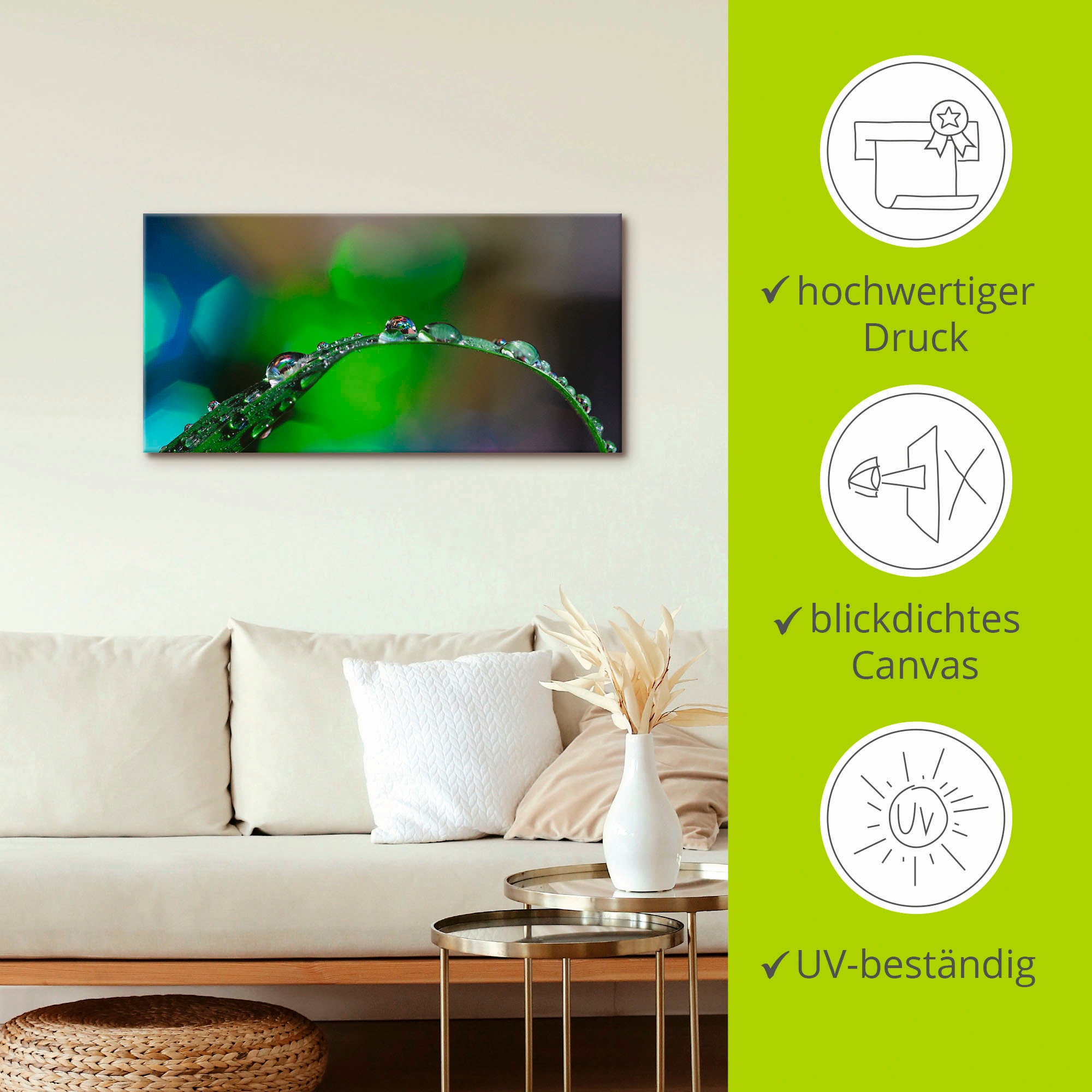 Artland Leinwandbild »Wassertropfen IV«, Gräser, (1 St.), auf Keilrahmen gespannt