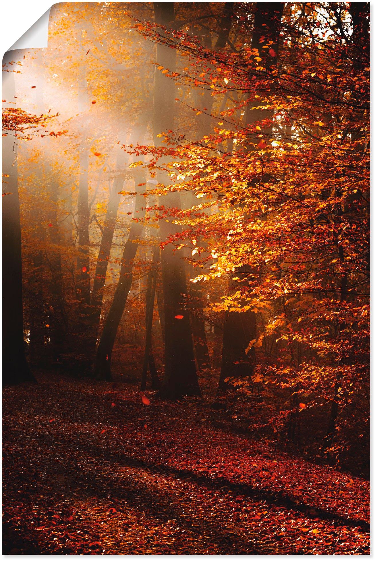 Artland Wandbild "Sonnenaufgang im Herbst", Wald, (1 St.), als Leinwandbild, Poster in verschied. Größen