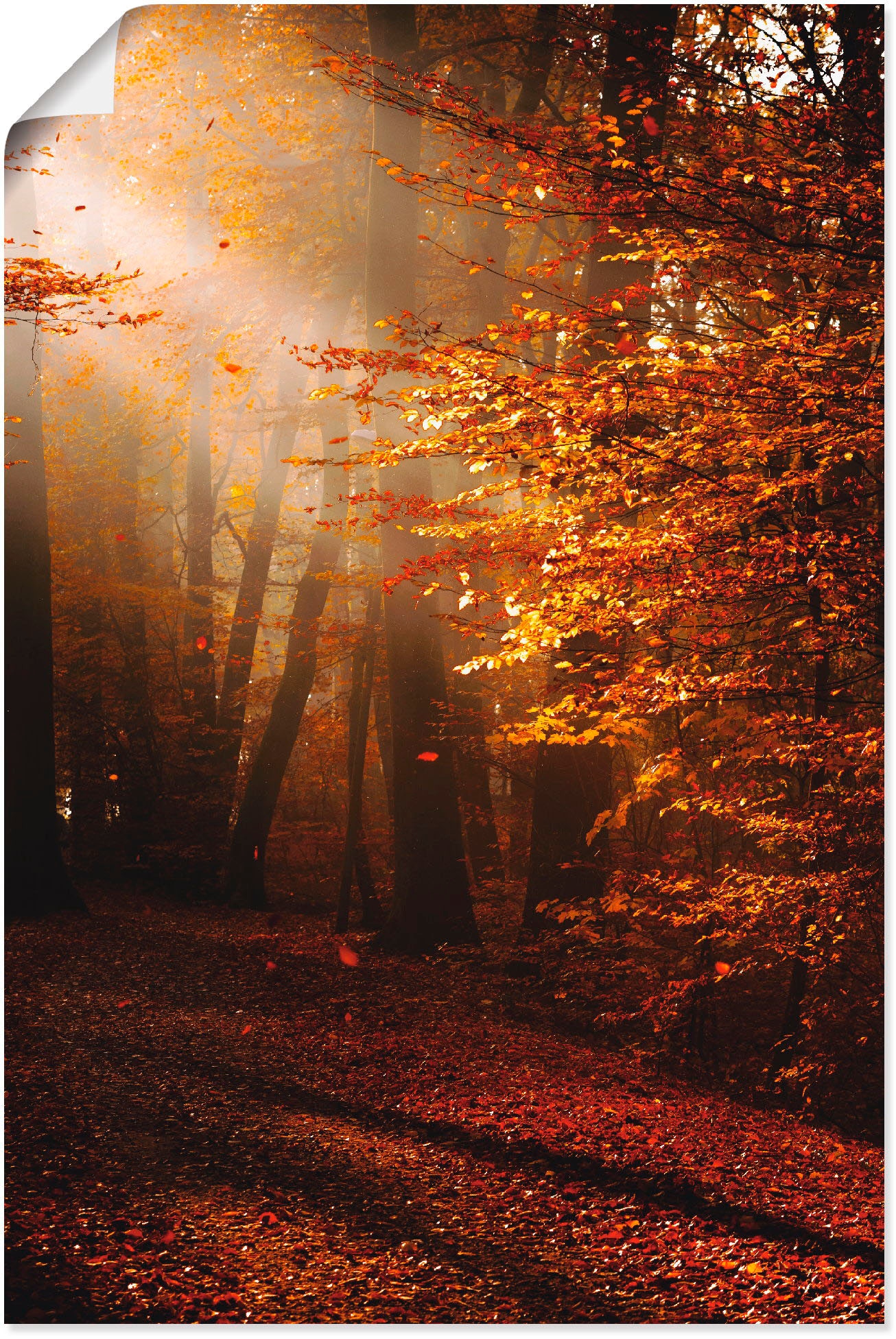 Artland Wandbild "Sonnenaufgang im Herbst" Wald 1 Stk. tlg. als Leinwandbild, Poster in verschied. Größen