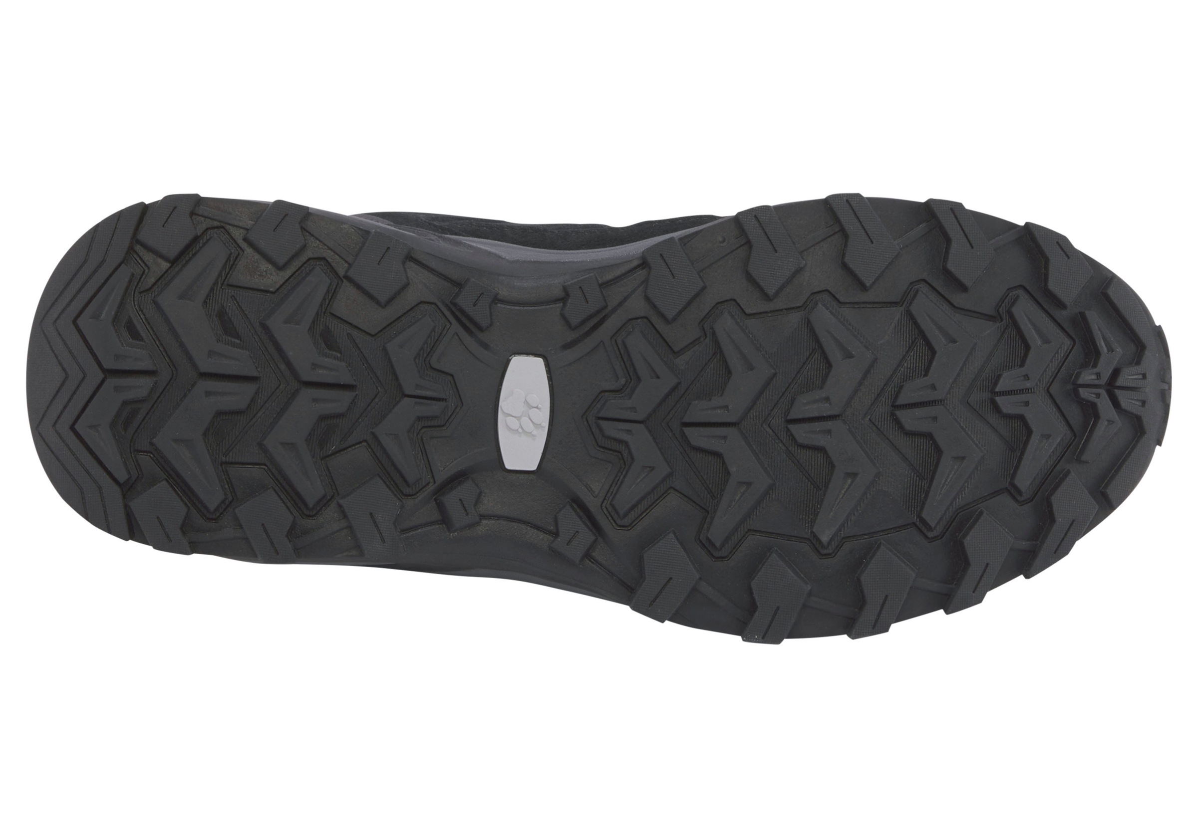 Jack Wolfskin Wanderschuh »TRAIL HIKER LOW W«