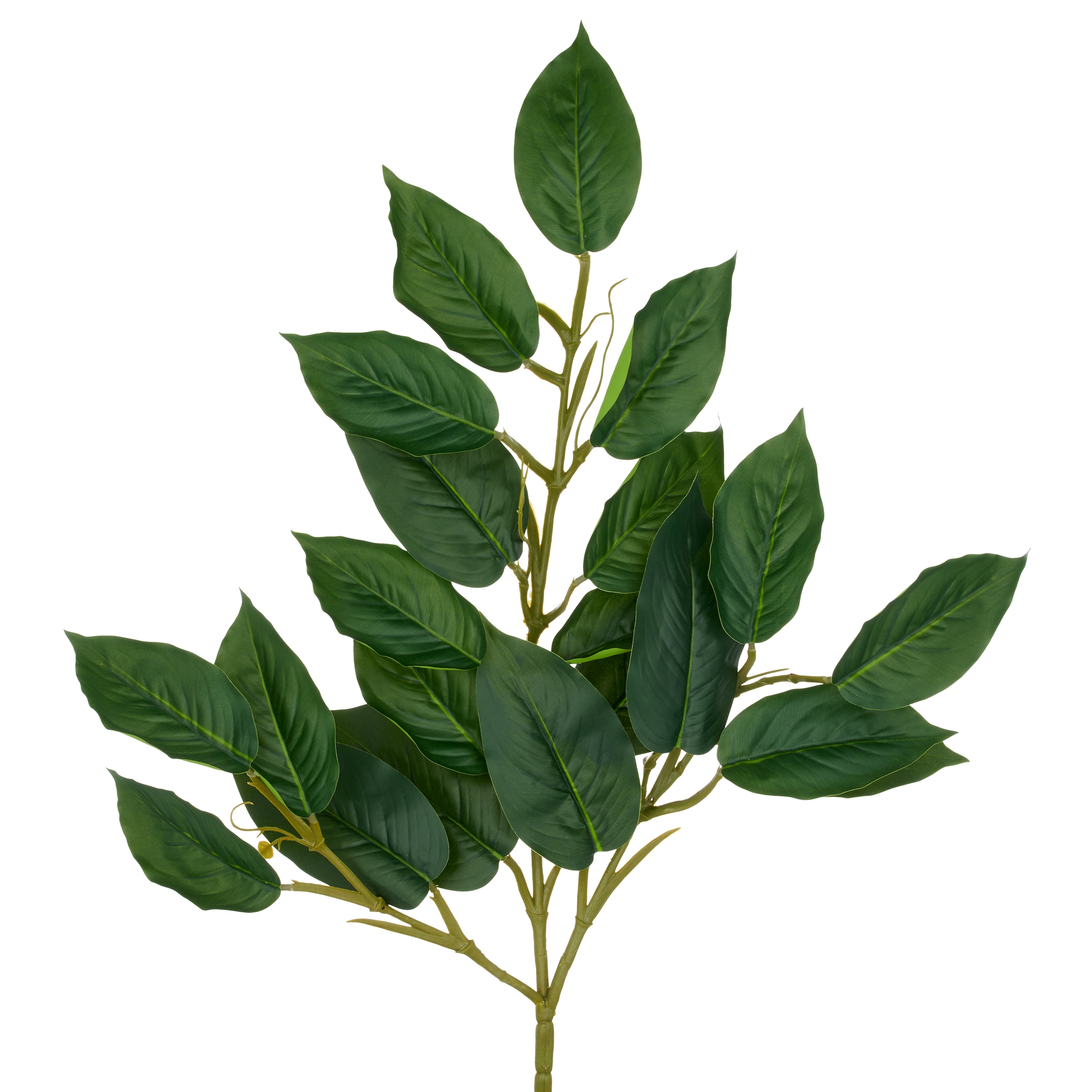 Creativ green Kunstzweig "Ficuszweig", mit naturgetreuem Blattwerk günstig online kaufen