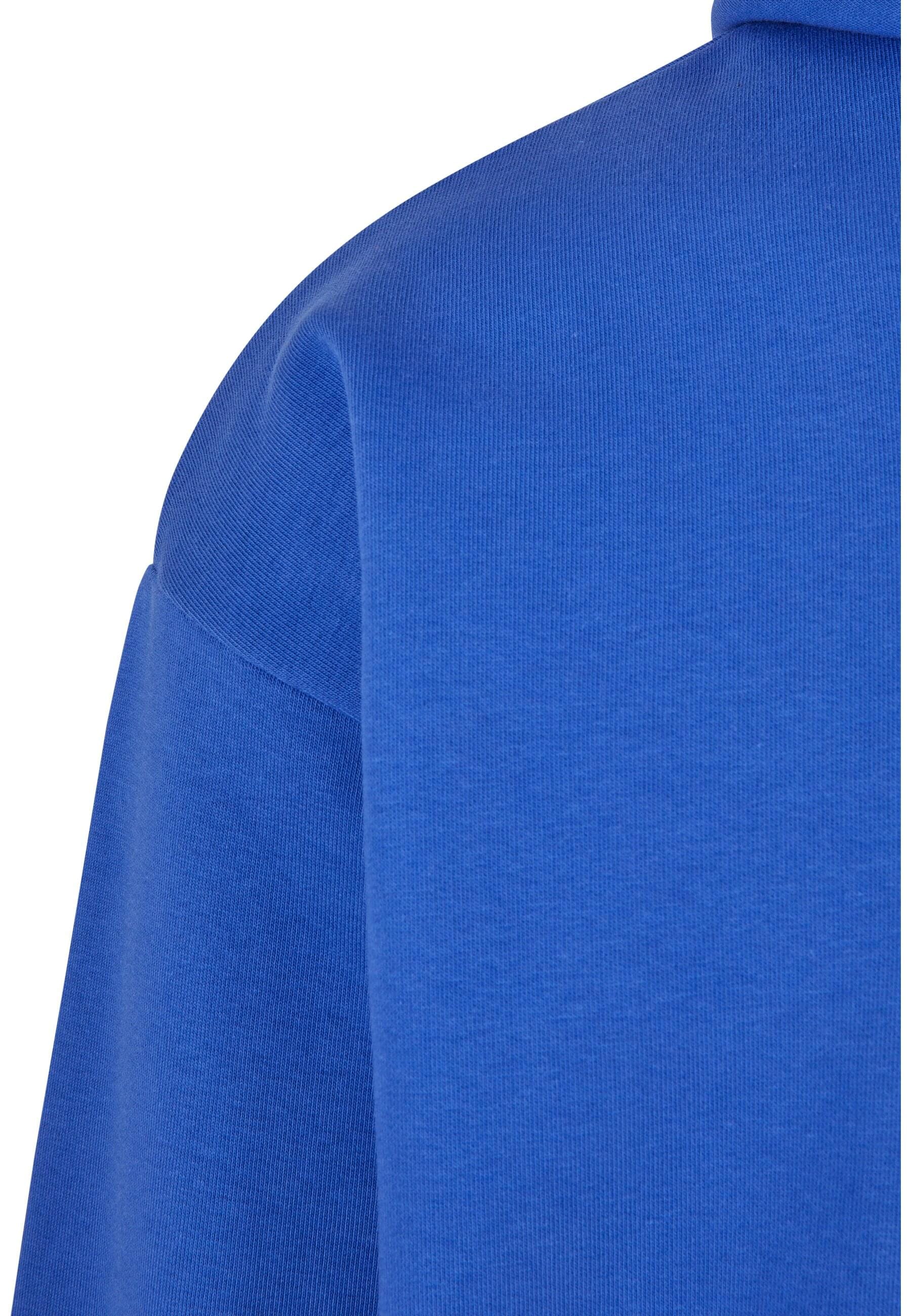 Karl Kani Sweatjacke »Karl Kani Herren KM231-046-1KK Chest Signature OS Hoodie blue«