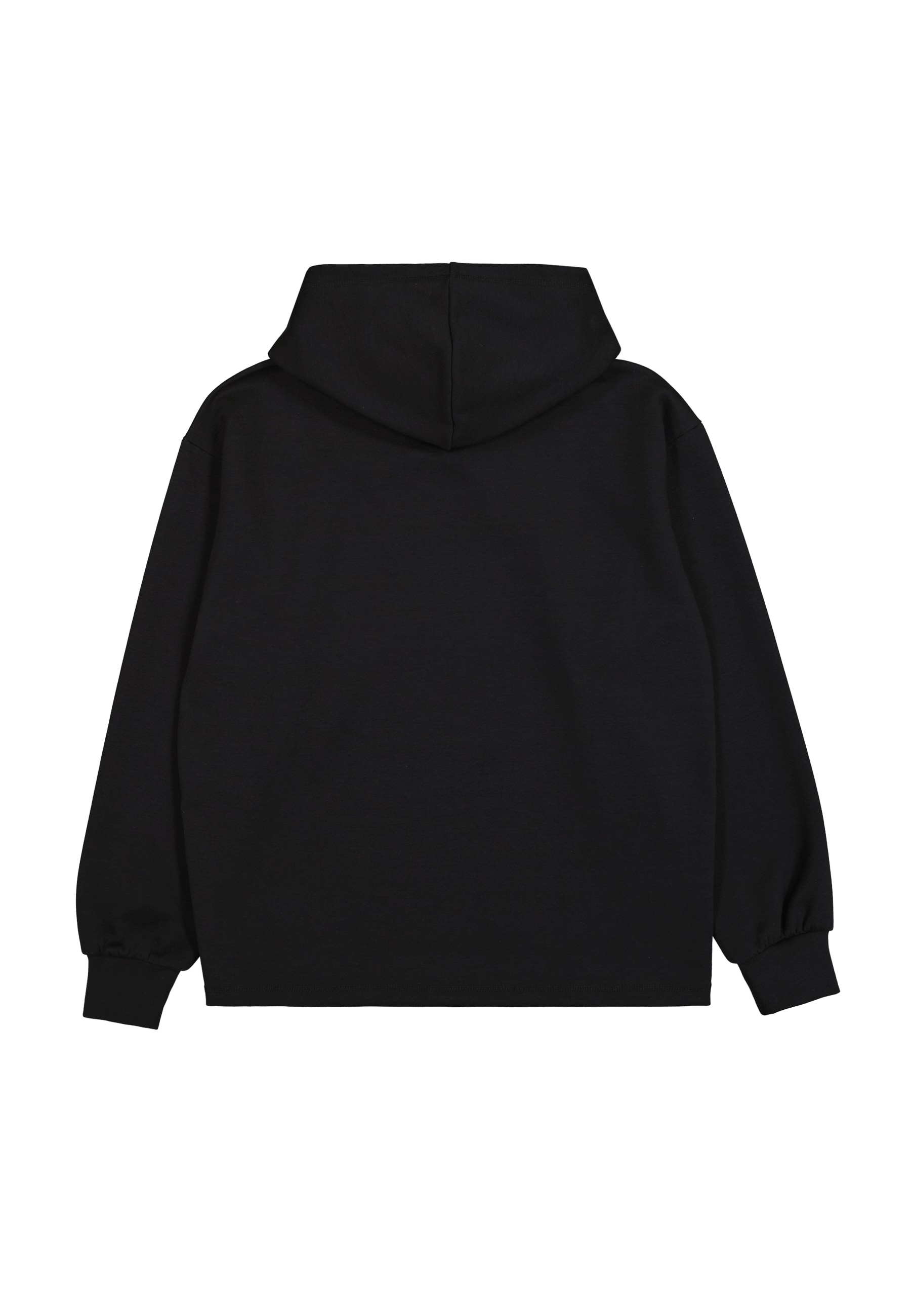 Champion Kapuzensweatshirt