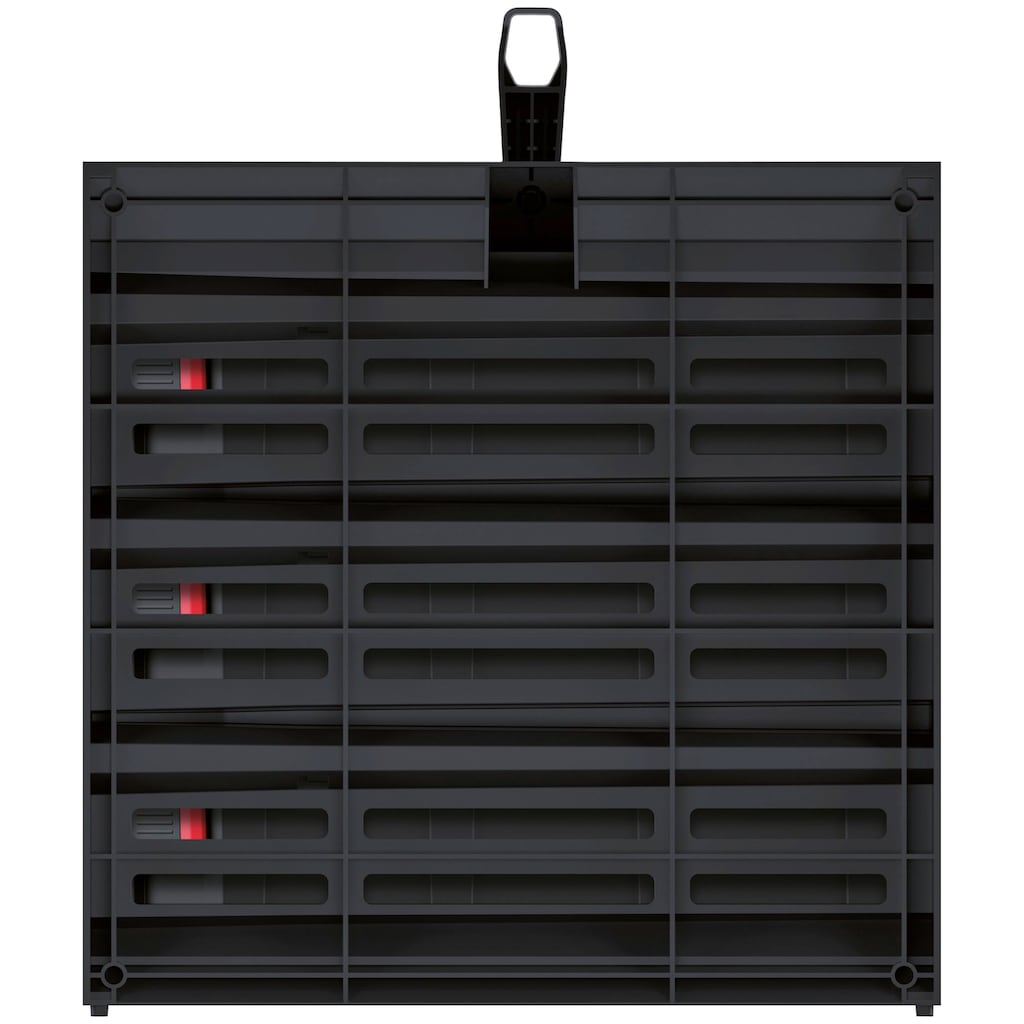 Prosperplast Organizer »TAGER CASE«