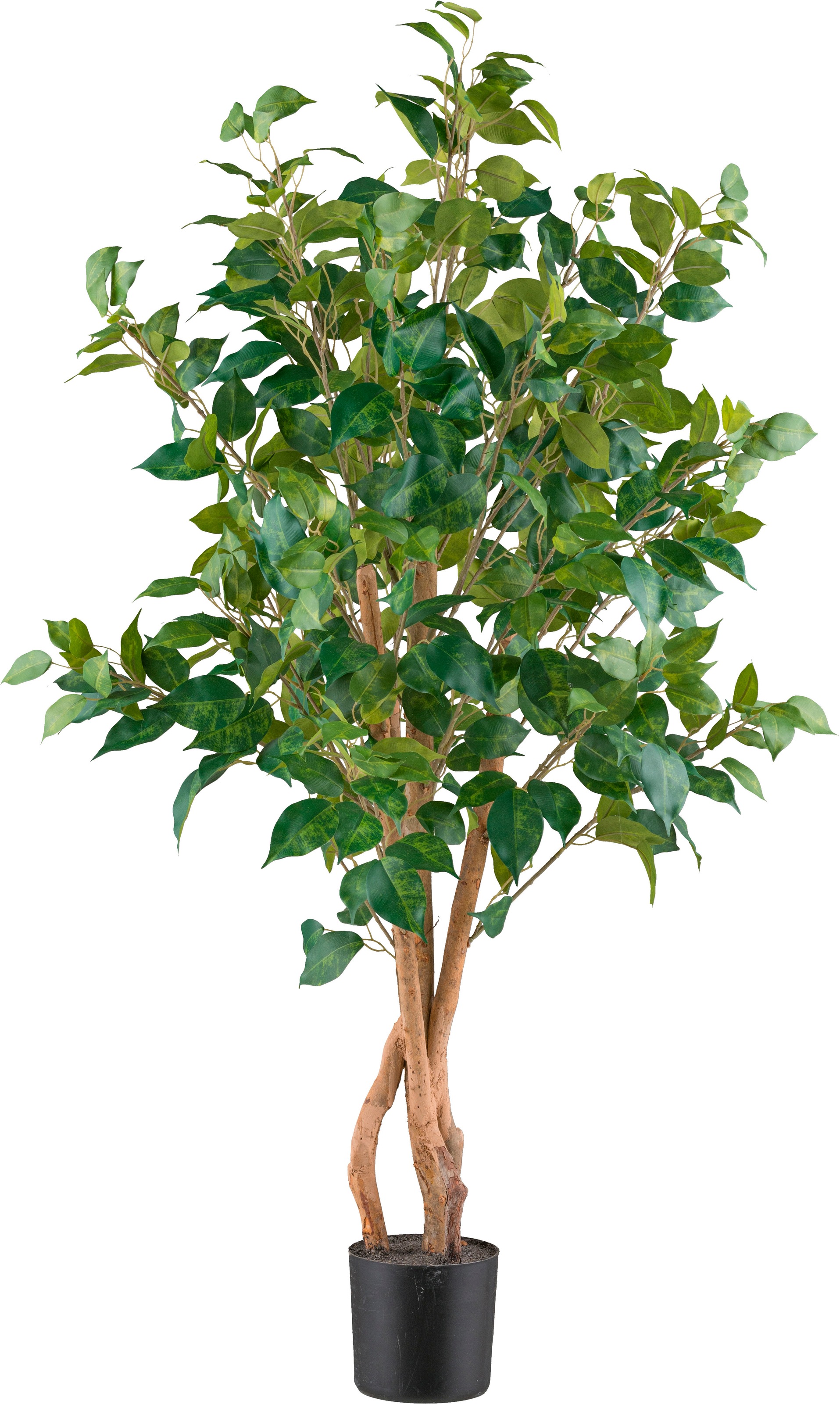 Creativ green Kunstpflanze "Ficus benjamina", mit sehr naturgetreu gestalteten Blättern