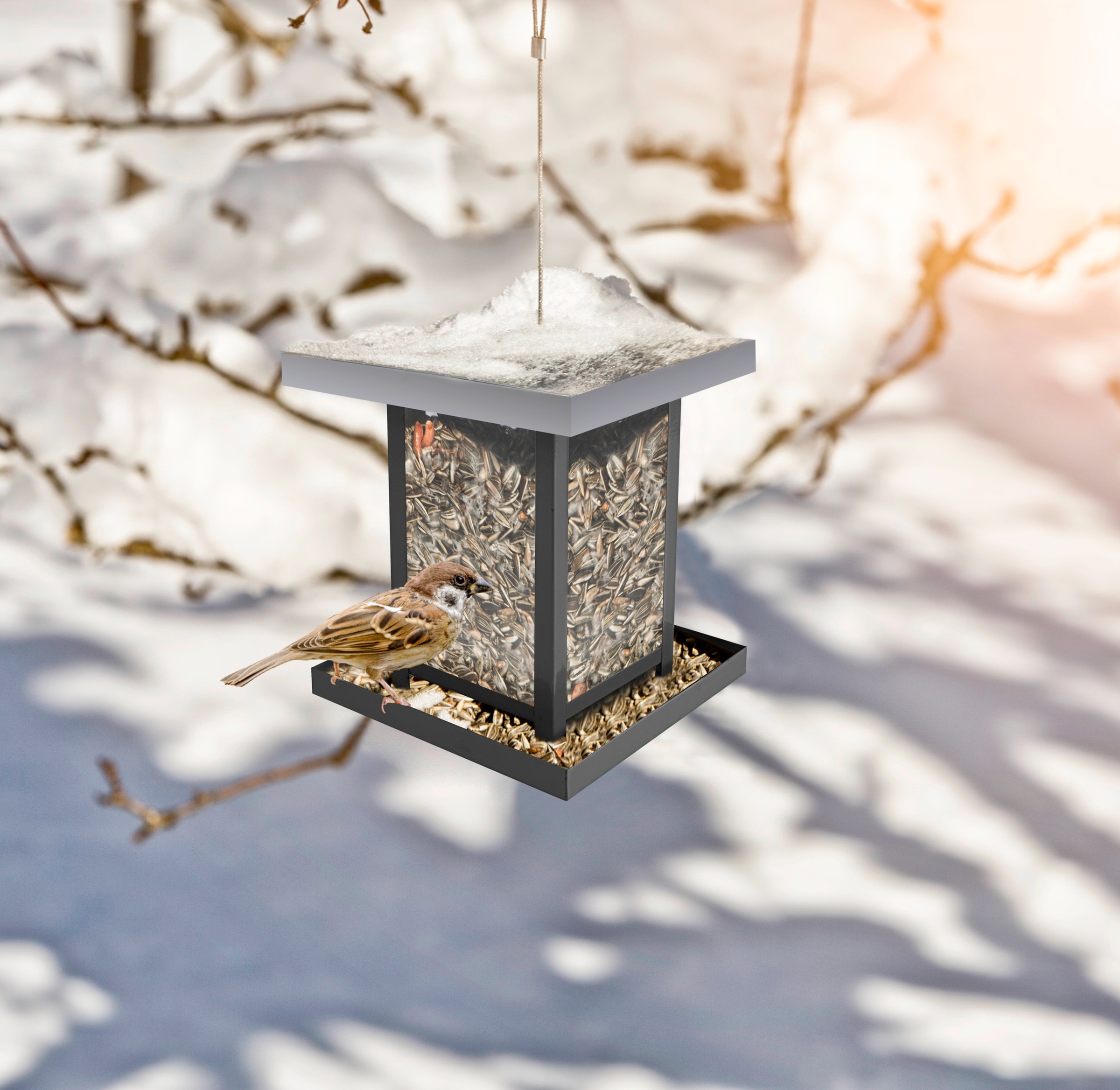 Windhager Futterhaus »Vogelhaus View« BxTxH: 15,8x15,8x18,5 cm