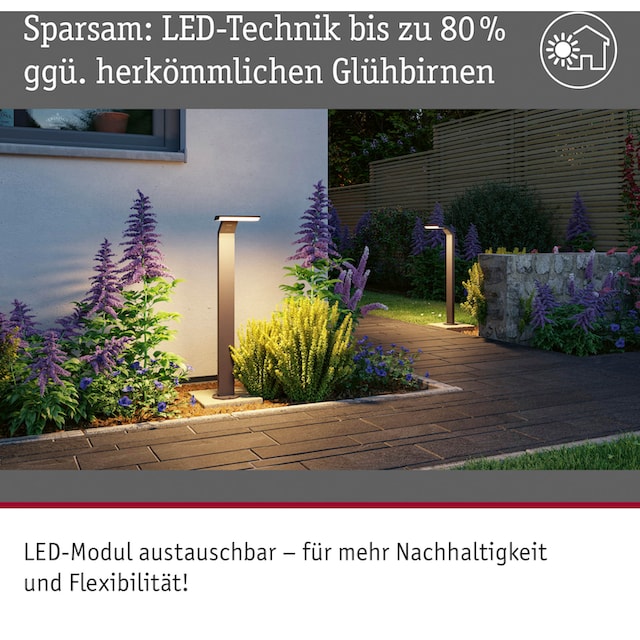 | flammig-flammig, »Zenera 230V Gartenleuchte insektenfreundlich kaufen Pollerleuchte«, 1 Paulmann LED BAUR