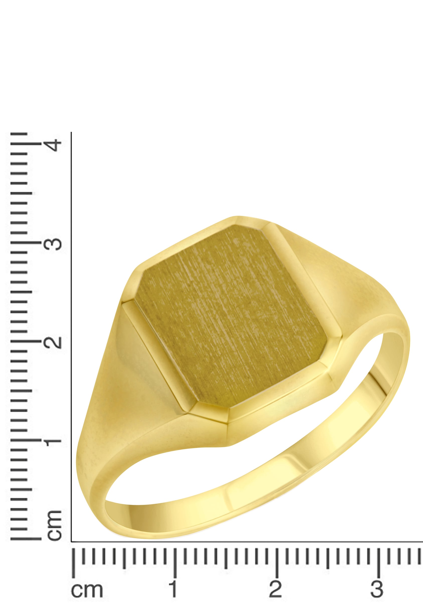 Firetti Goldring »Schmuck Geschenk Gold 375 Herrenring Goldring«