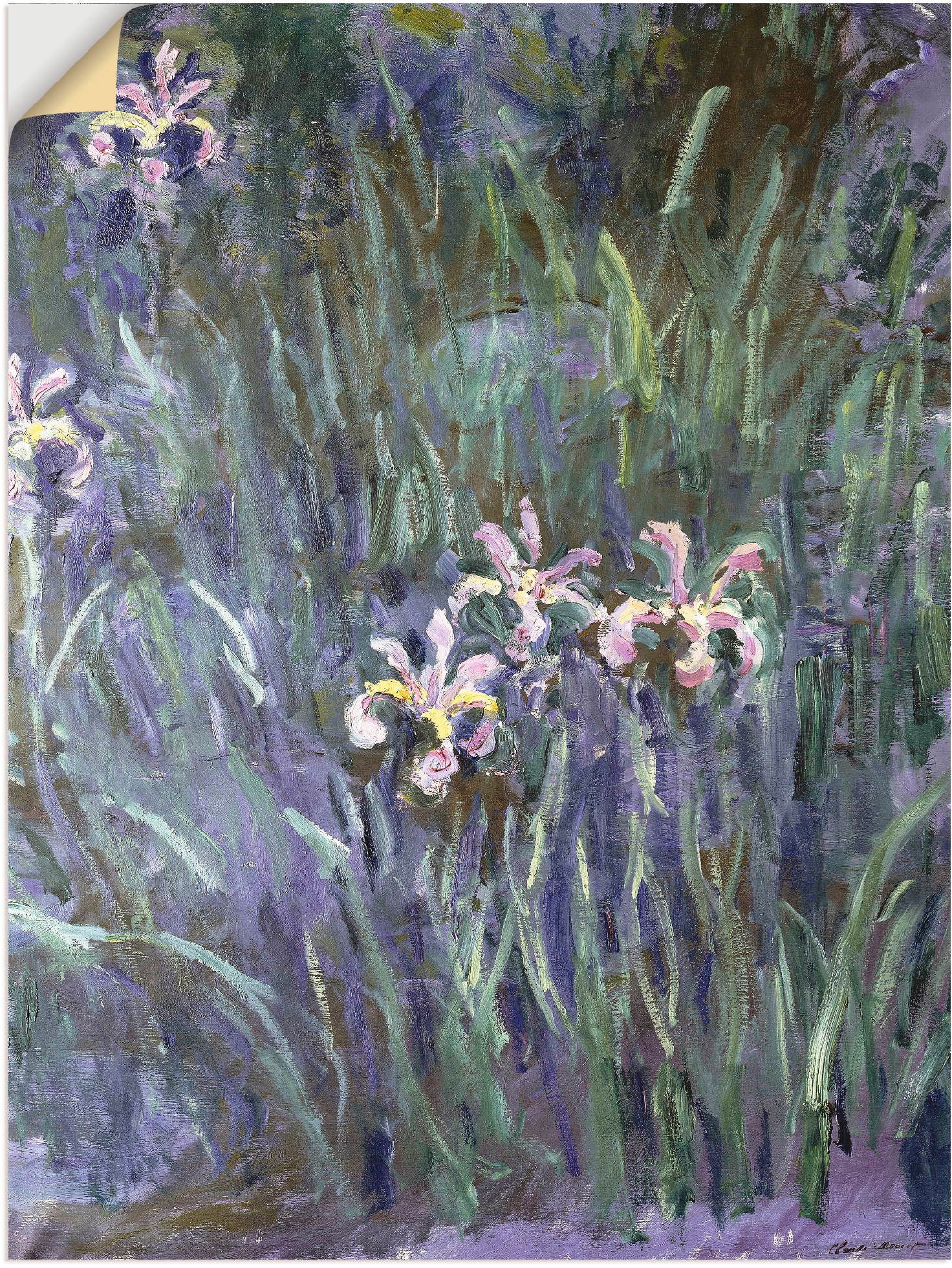 kaufen »Schwertlilien. BAUR Blumen, als Um 1914-17«, oder Leinwandbild, Wandbild Artland in (1 Poster Wandaufkleber | Größen versch. St.),