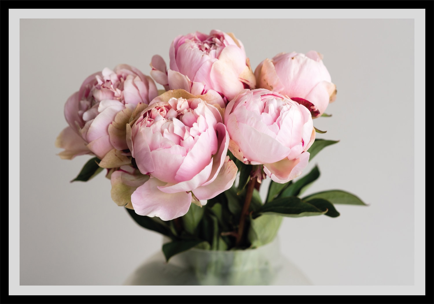 queence Bild »Gudrun«, Blumen, gerahmt, Rosen