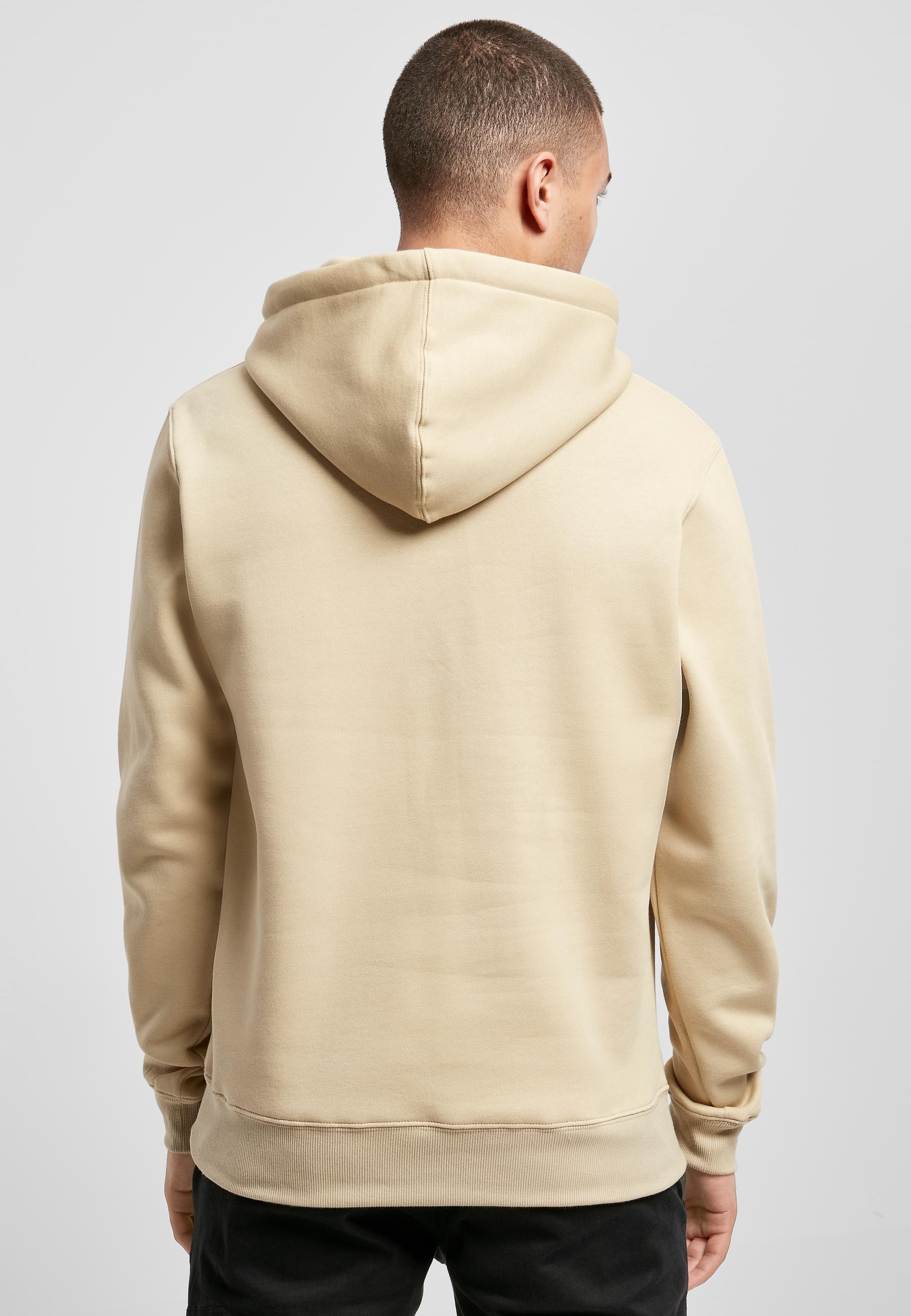 CAYLER & SONS Kapuzensweatshirt »Cayler & Sons Herren C&S Plain Hoody«, (1 tlg.)
