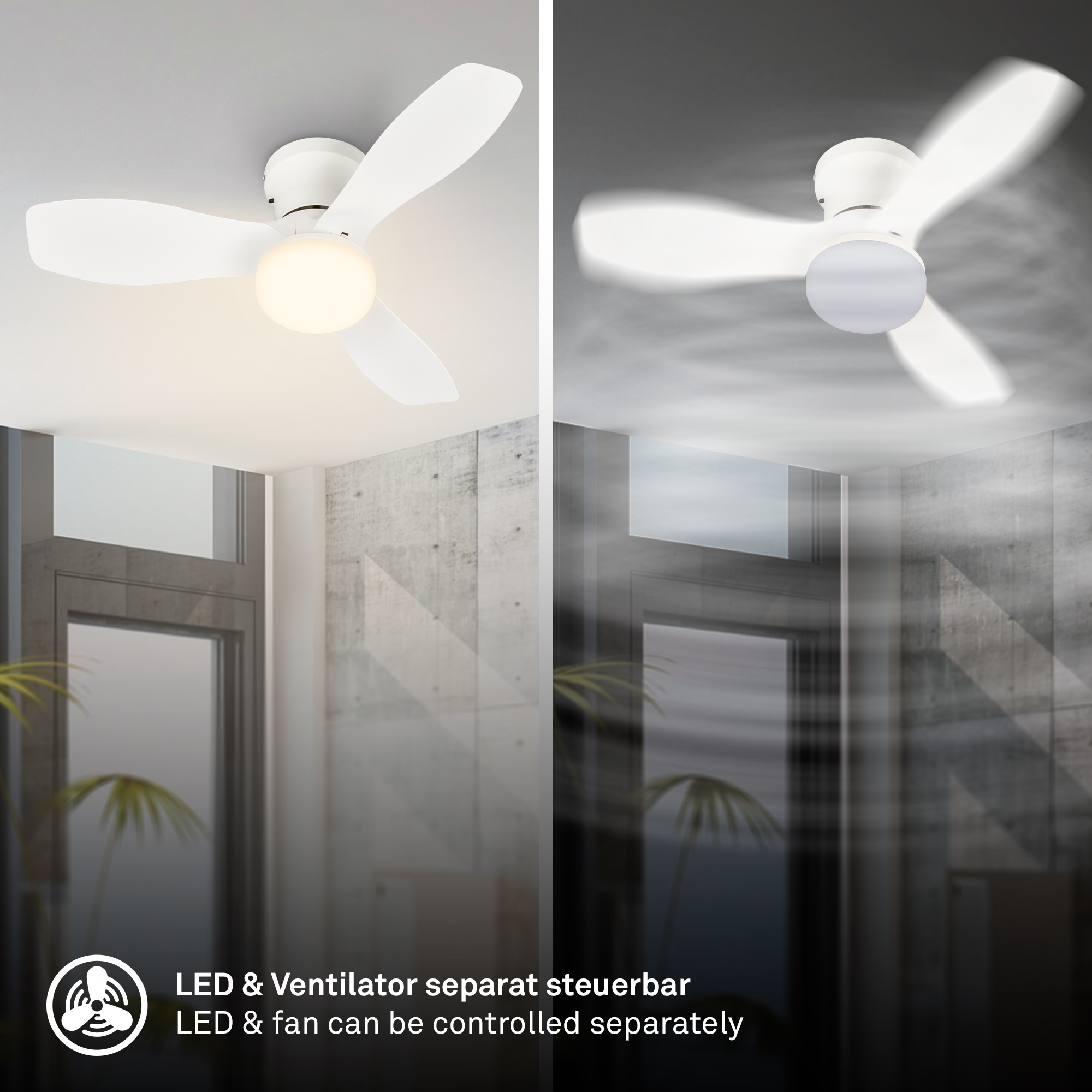 Briloner Leuchten LED Deckenleuchte »LUFITO« LED-Board 1 Stk. warmweiß - kaltweiß Schlafzimmer, Wohnzimmer, Esszimmer, Flur, Küche