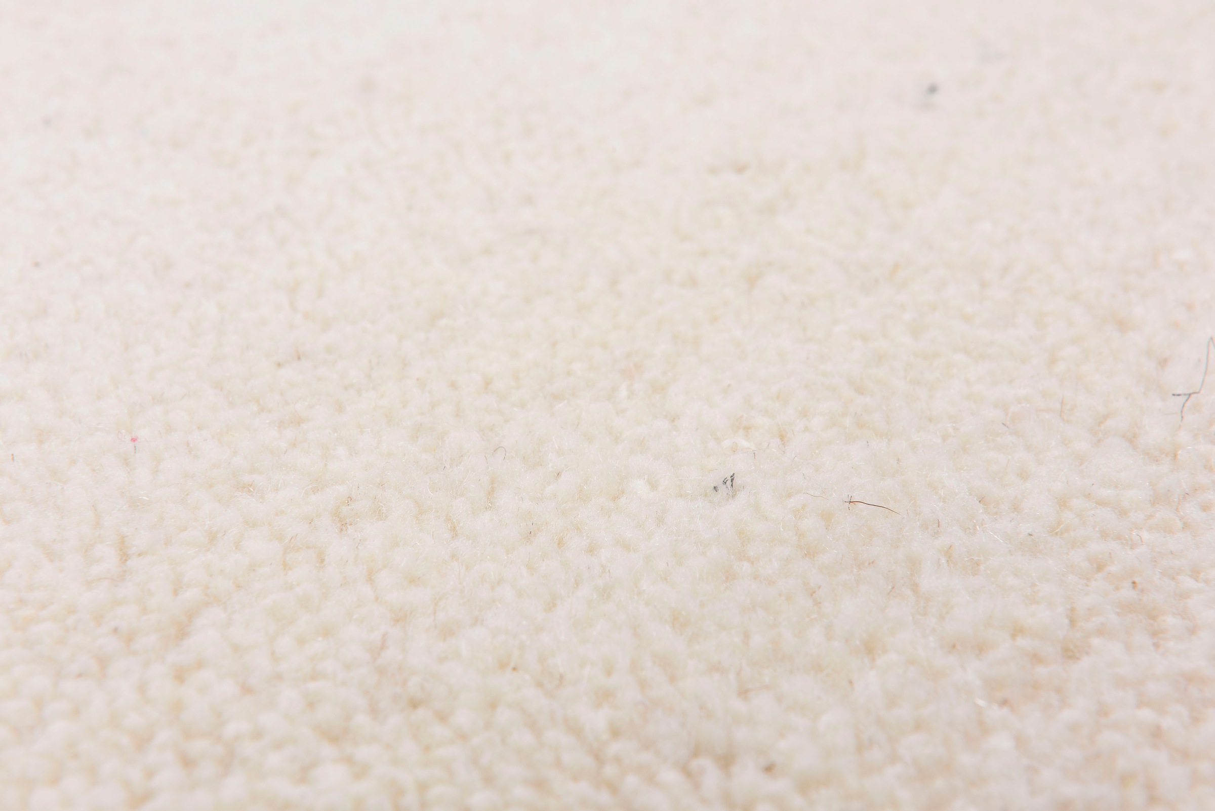 THEKO Maloronga Uni Berber Rug Beige 250cm 2