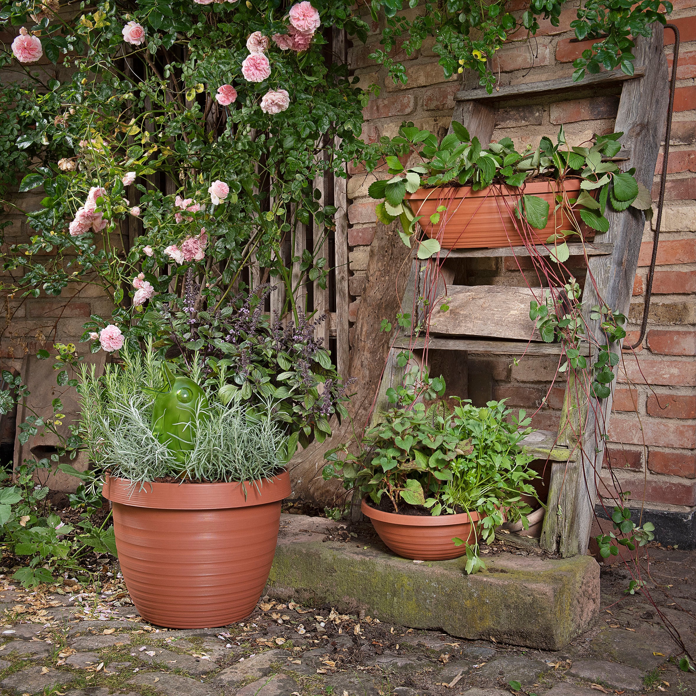 Scheurich Blumentopf »48/270 COUNTRY STAR 48«
