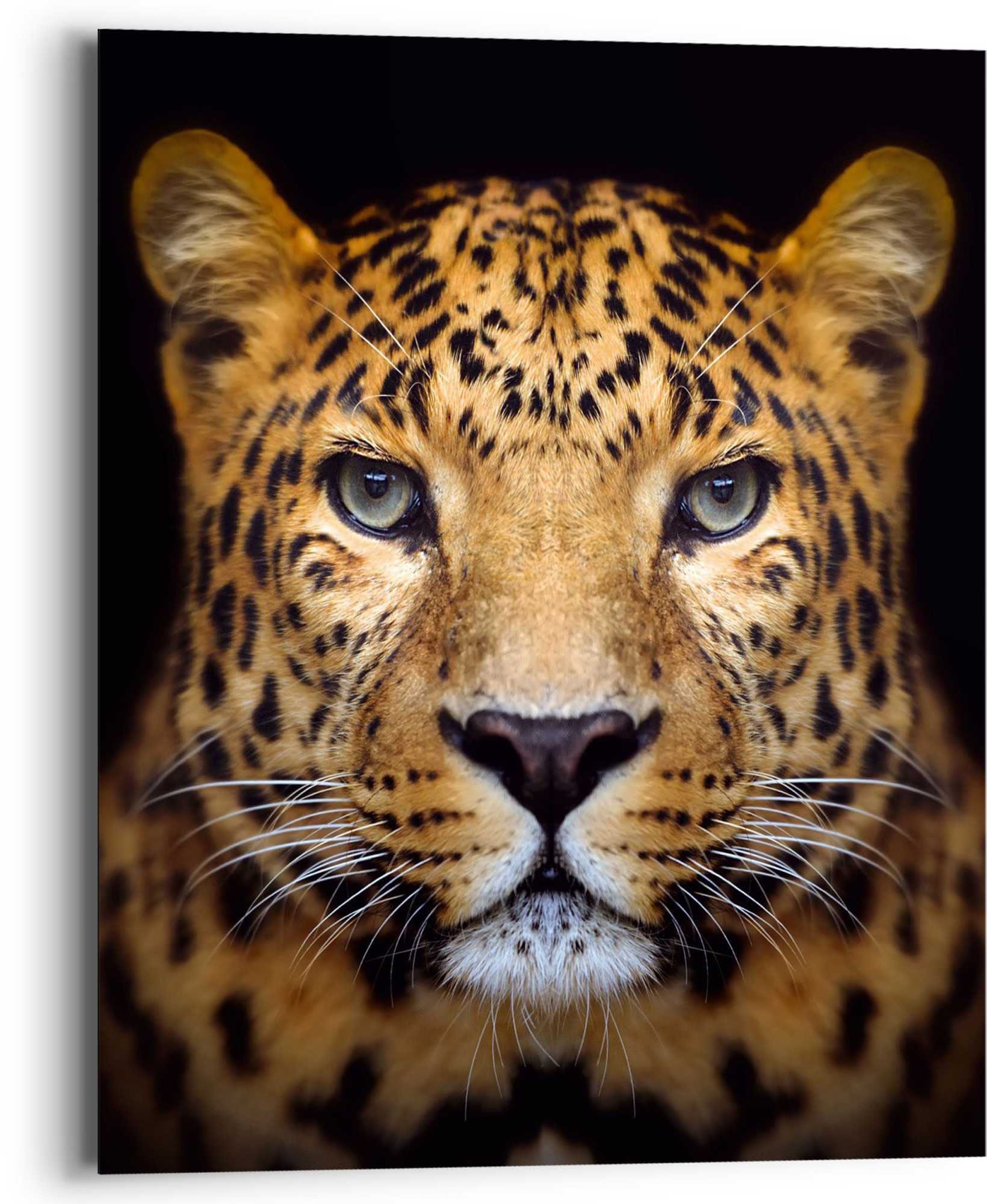 Reinders! Wandbild »Wandbild Leopard Panther kaufen Raubetier Gefleckt«, St.) - (1 BAUR Kräftig | Leopard, - 