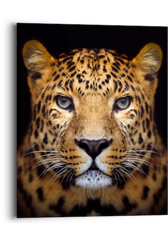 Wandbild »Wandbild Leopard Kräftig - Panther - Raubetier - Gefleckt«, Leopard, (1 St.)