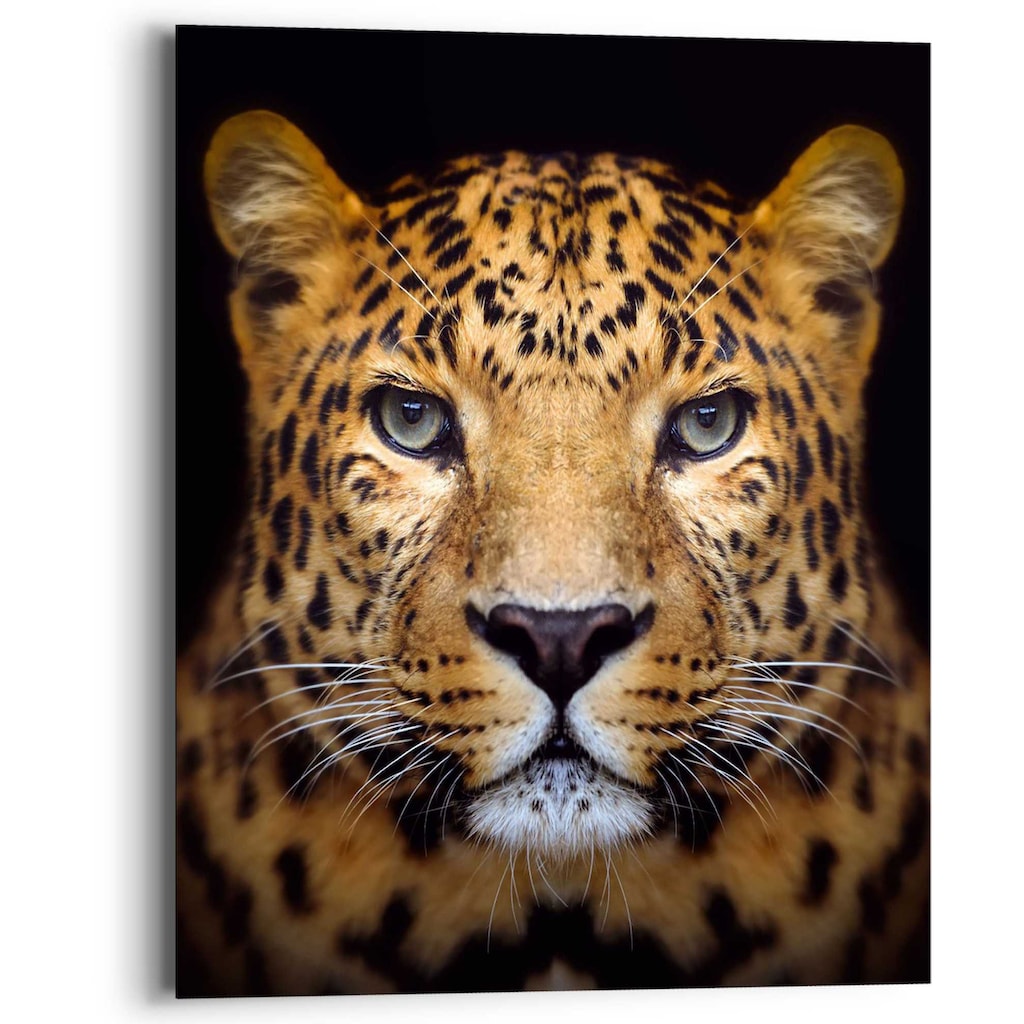 Reinders! Wandbild »Wandbild Leopard Kräftig - Panther - Raubetier - Gefleckt«, Leopard, (1 St.)