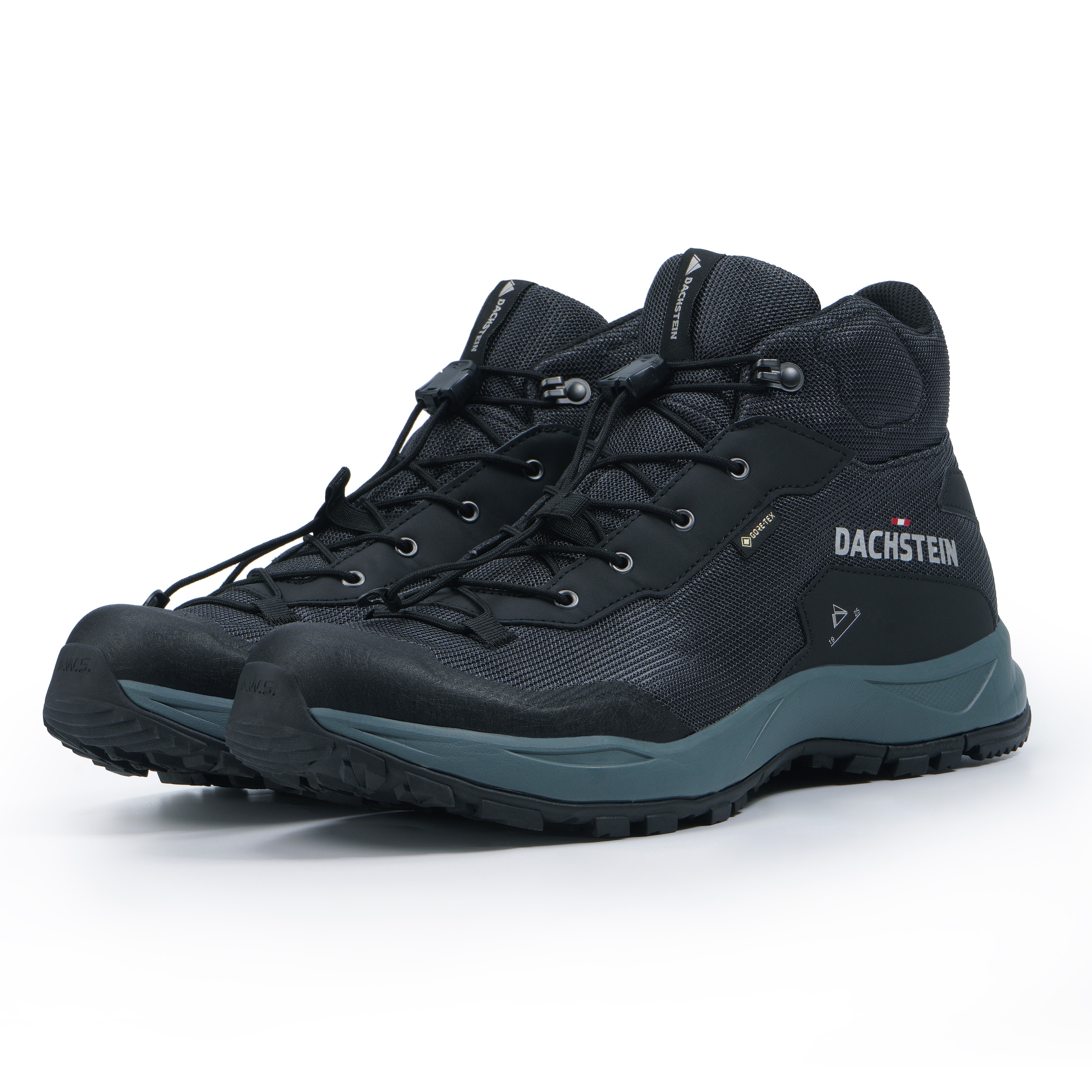 Dachstein Wanderschuh »DELTA ASCENT MC GTX«, wasserdicht