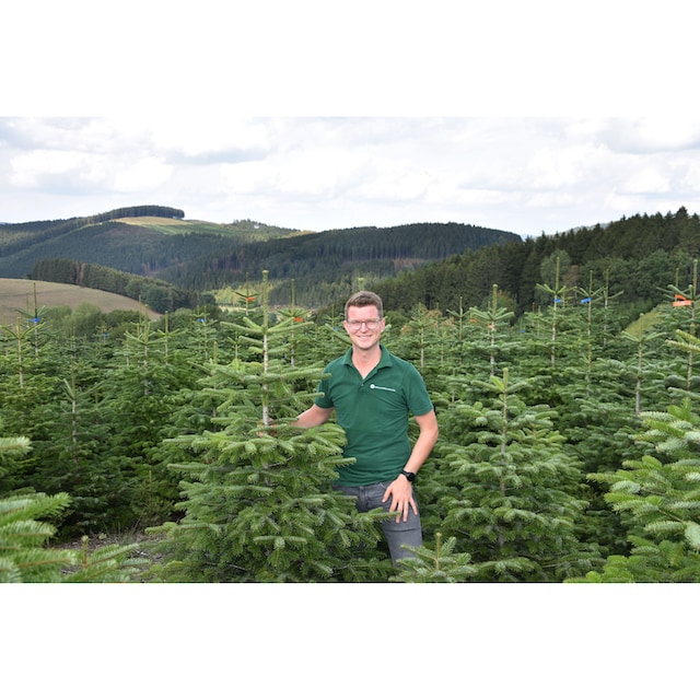 Weihnachtsbaumland Echter Weihnachtsbaum »Nordmanntanne auf Holzkreuz  montiert, Weihnachtsdeko«, Nordmanntanne, Höhe ca. 100 bis 120 cm kaufen |  BAUR
