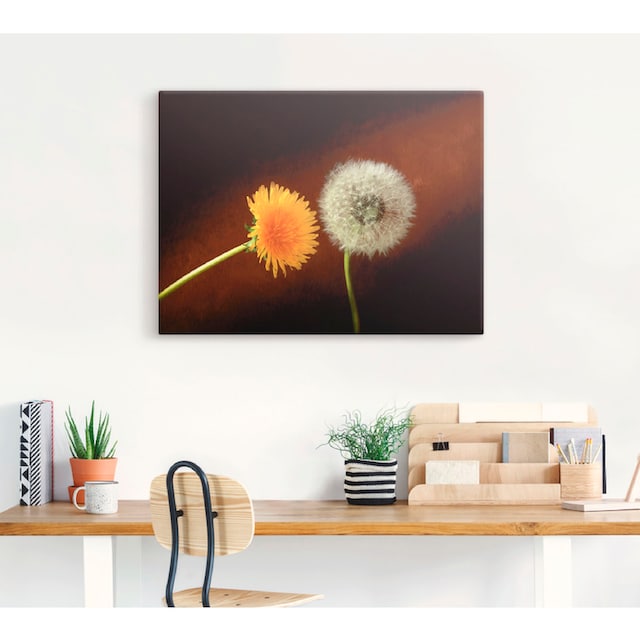 Artland Wandbild »Pusteblume«, Blumen, (1 St.), als Leinwandbild,  Wandaufkleber oder Poster in versch. Größen kaufen | BAUR