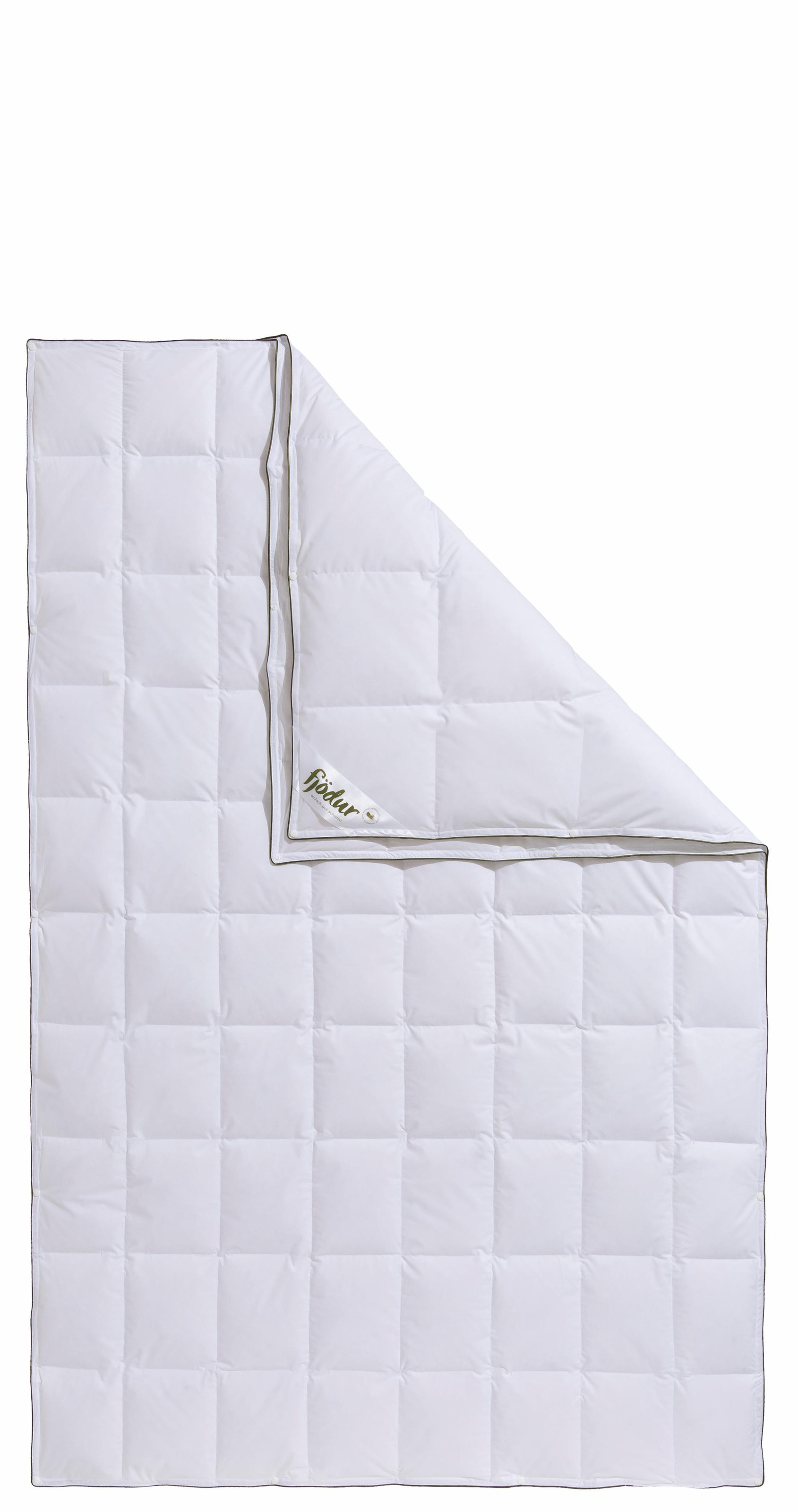fjödur Daunenbettdecke "Fancy, 4-Jahreszeitenbett Allergiker geeignet (Haus günstig online kaufen