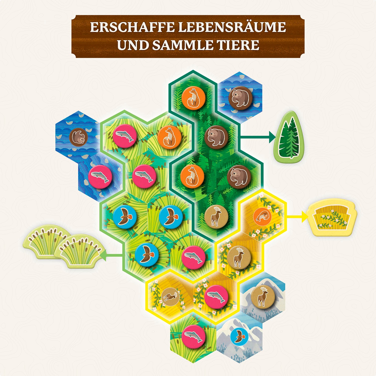 Kosmos Spiel »Cascadia Junior«