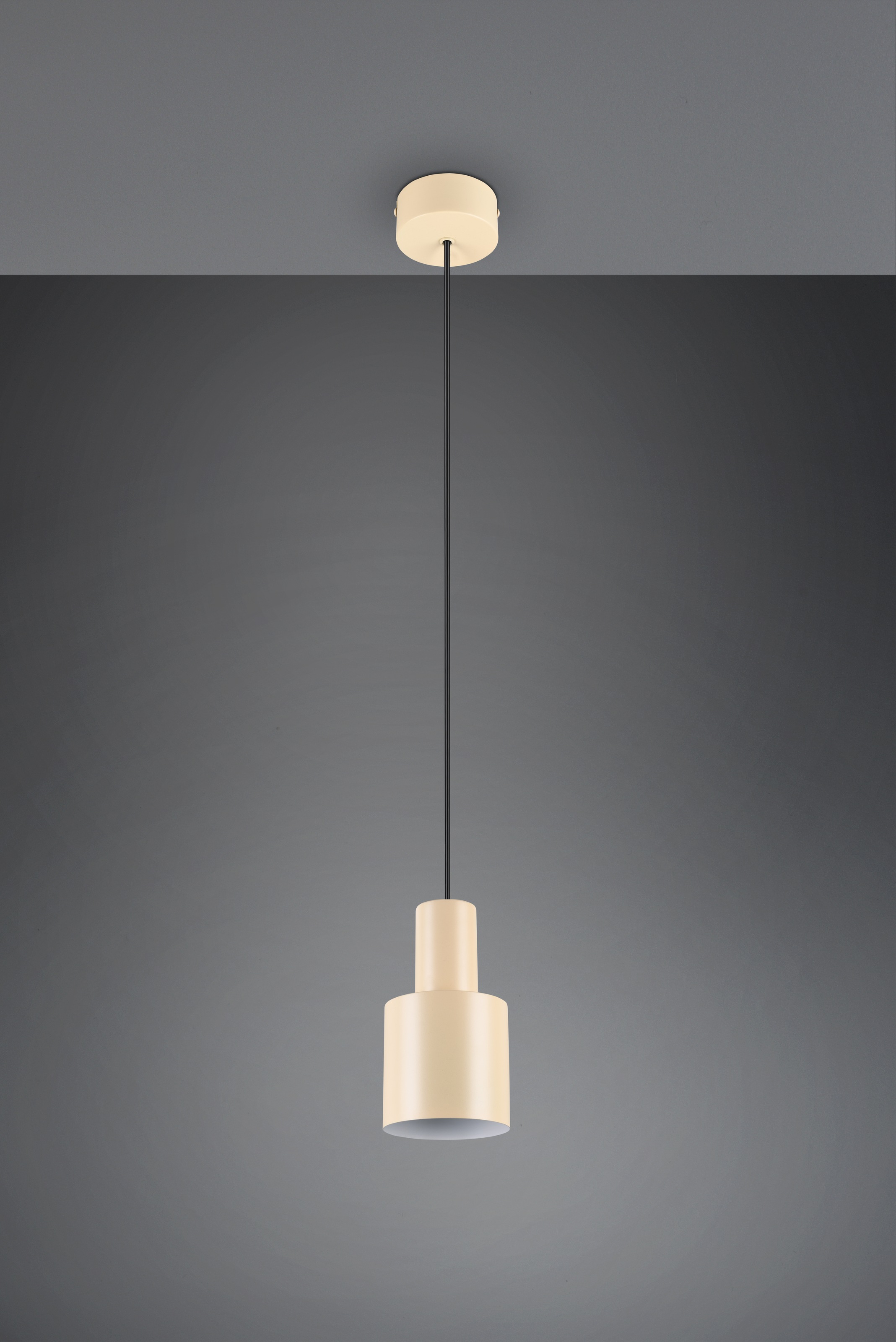 TRIO Leuchten Pendelleuchte »AGUDO, Hängelampe 1-flammig, exkl 1xE27 max 10W, höhenverstellbar«, 1 flammig, Leuchtmittel E27 | Leuchtmittel wechselbar, Hängelampe Ø 12cm, bis max 150cm Abhängung, Küche Esszimmer Wohnzimmer