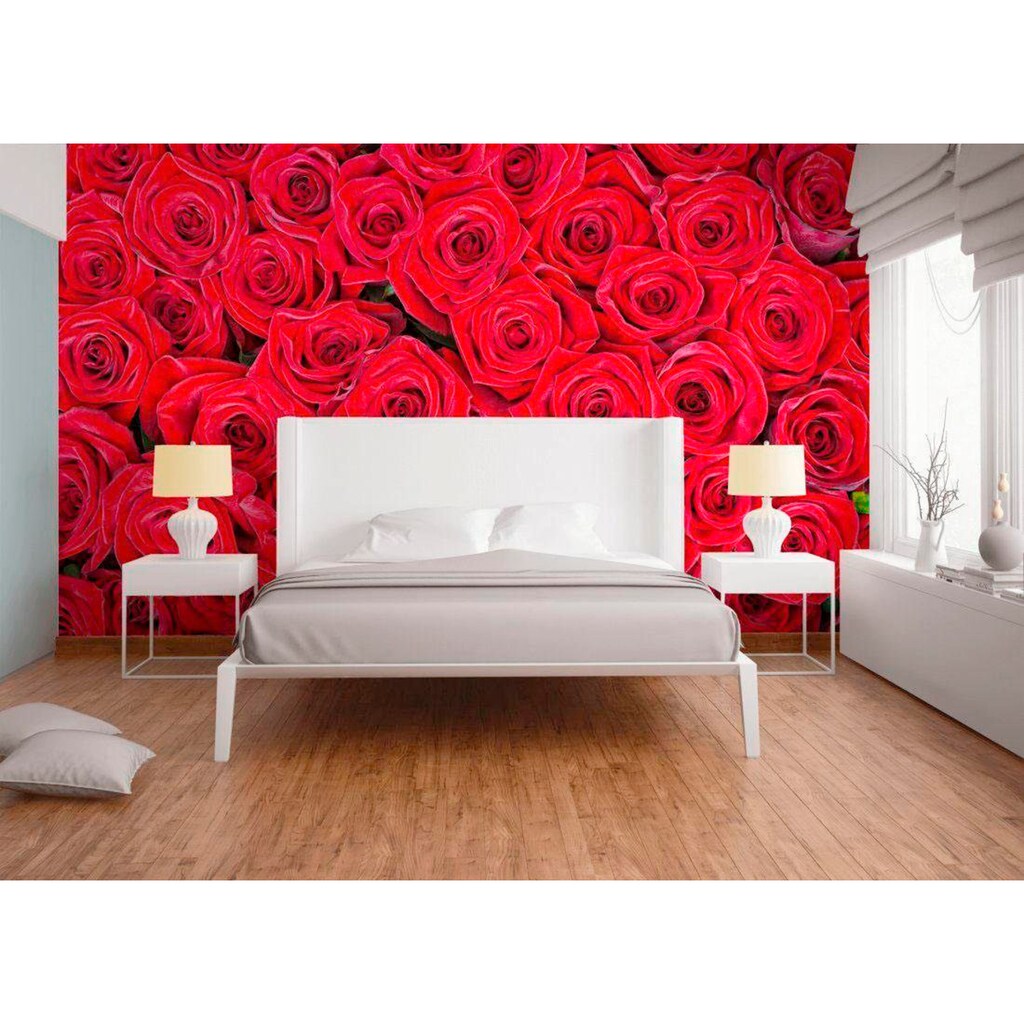 living walls Fototapete »rote Rosen«