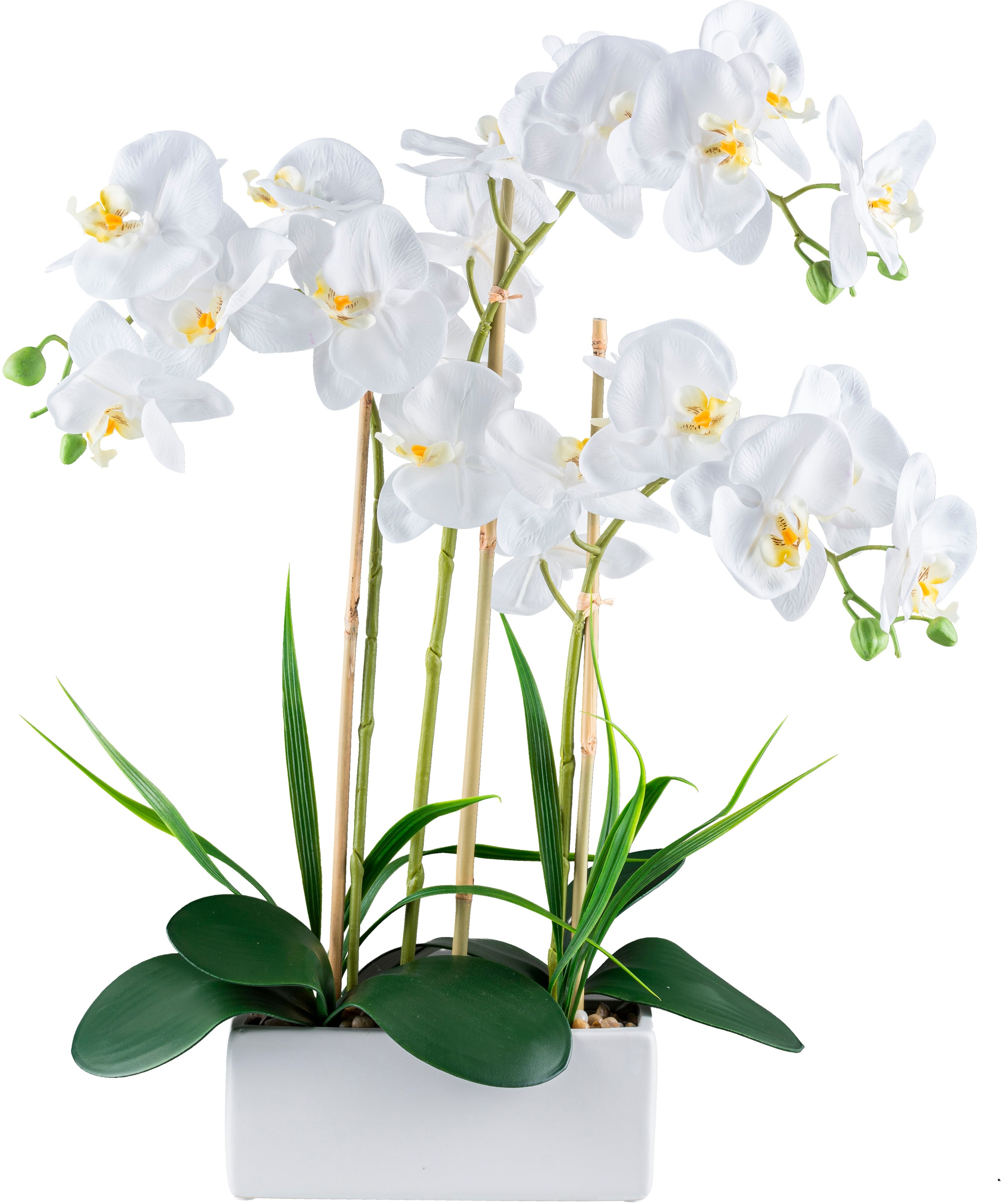 Creativ green Kunstorchidee "Orchidee Phalaenopsis", mit Graszweigen arrangiert